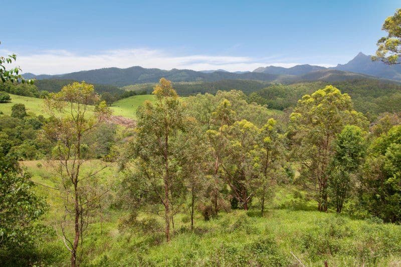 76 Bald Mountain Road, LIMPINWOOD NSW 2484, Limpinwood - Image 1