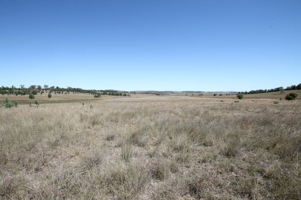 . "Myola" Colly Plains Road, QUIRINDI NSW 2343, Quirindi - Image 1