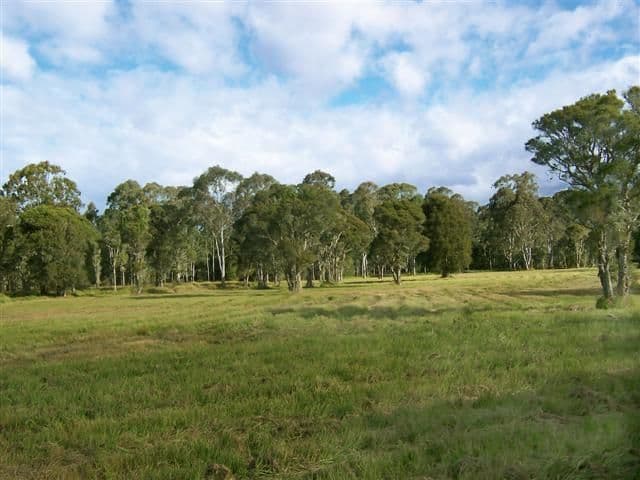 36 Browns Road, MANDALONG NSW 2264, Mandalong - Image 1