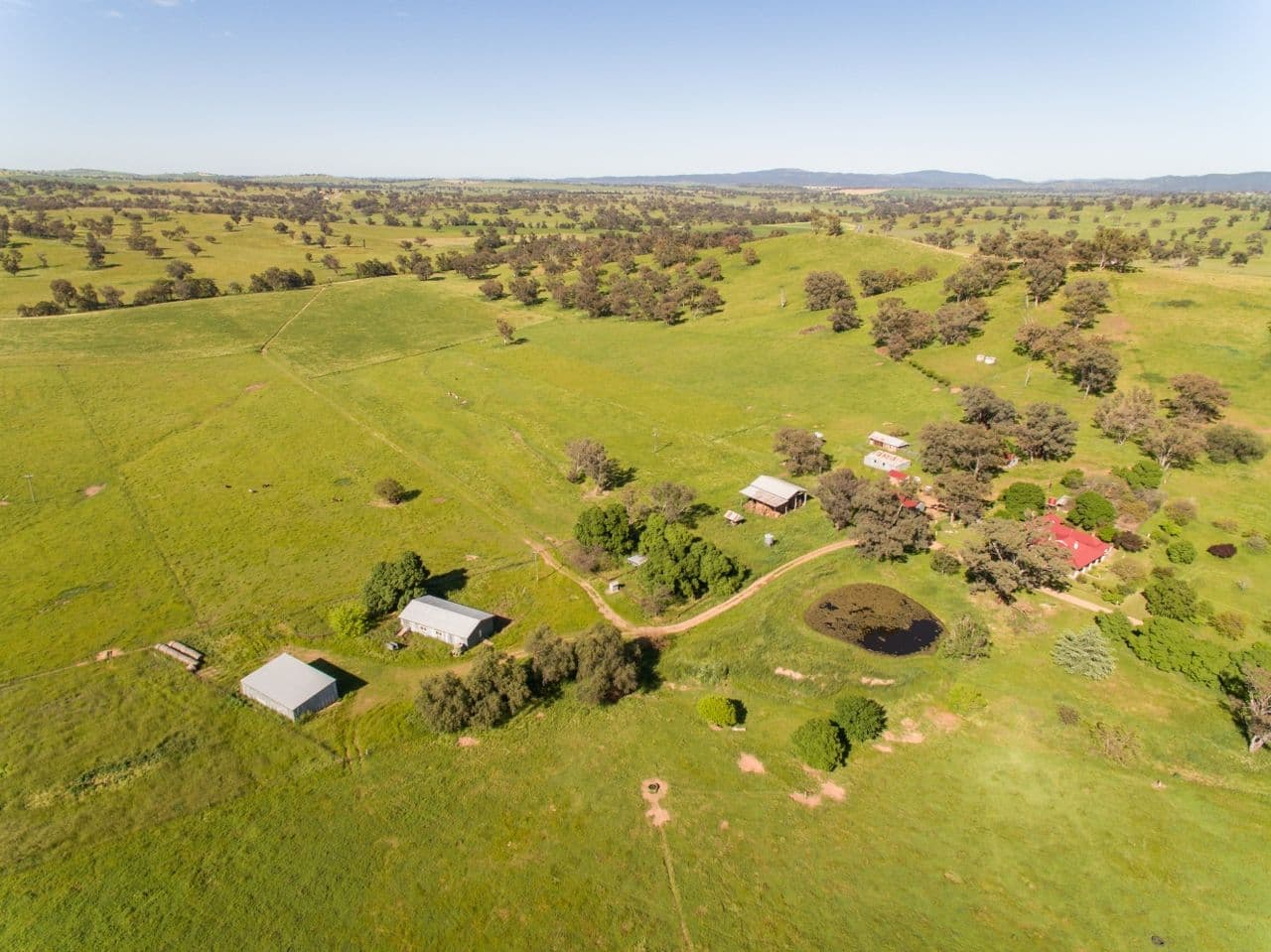 Cudal NSW 2864, Cudal - Image 1