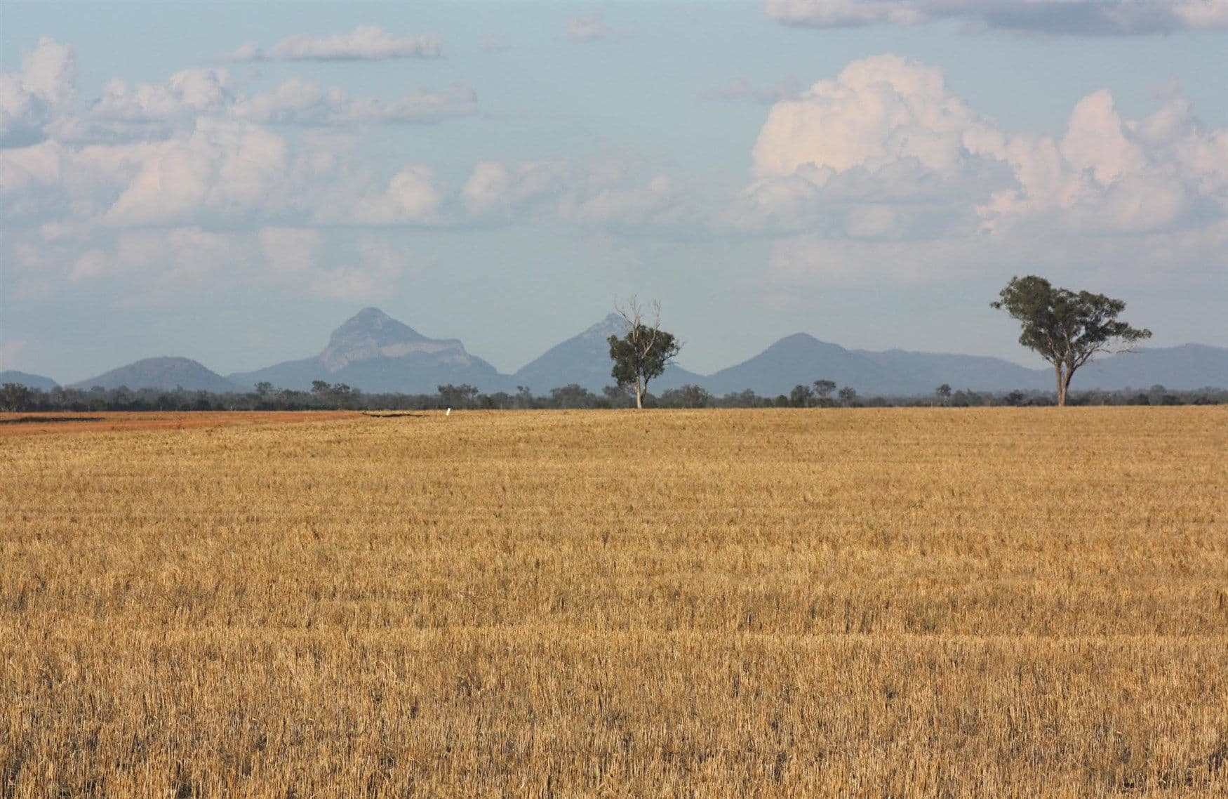 Matilda Downs Bonnie Doon Road, Capella QLD 4723, Capella - Image 1