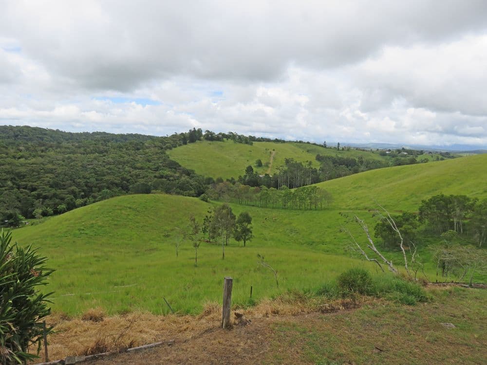 Tarzali QLD 4885, Tarzali - Image 1