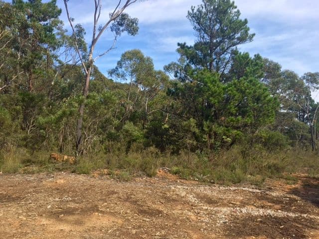 252 Hat Hill Road, Blackheath NSW 2785, Blackheath - Image 1