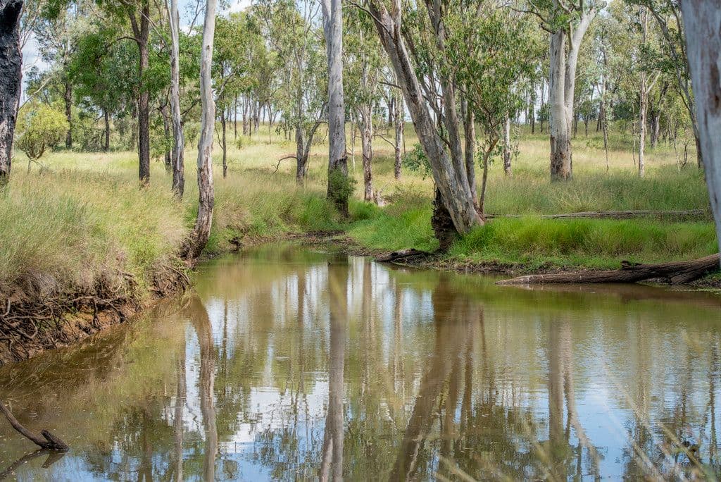 . Dandaloo, Durong QLD 4610, Durong - Image 1