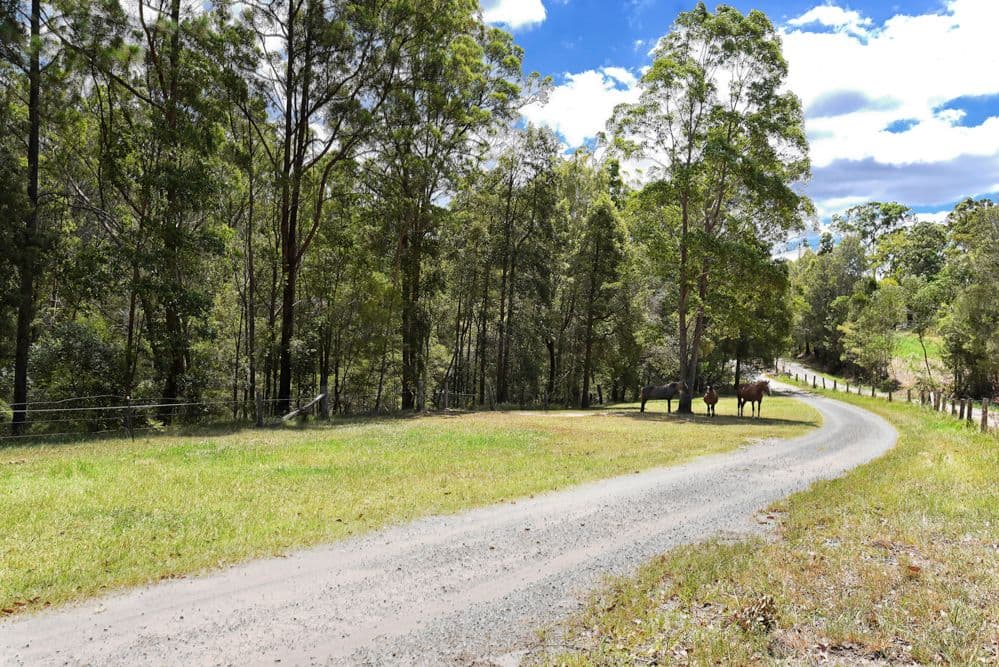 289 Trees Road, Tallebudgera QLD 4228, Tallebudgera - Image 1