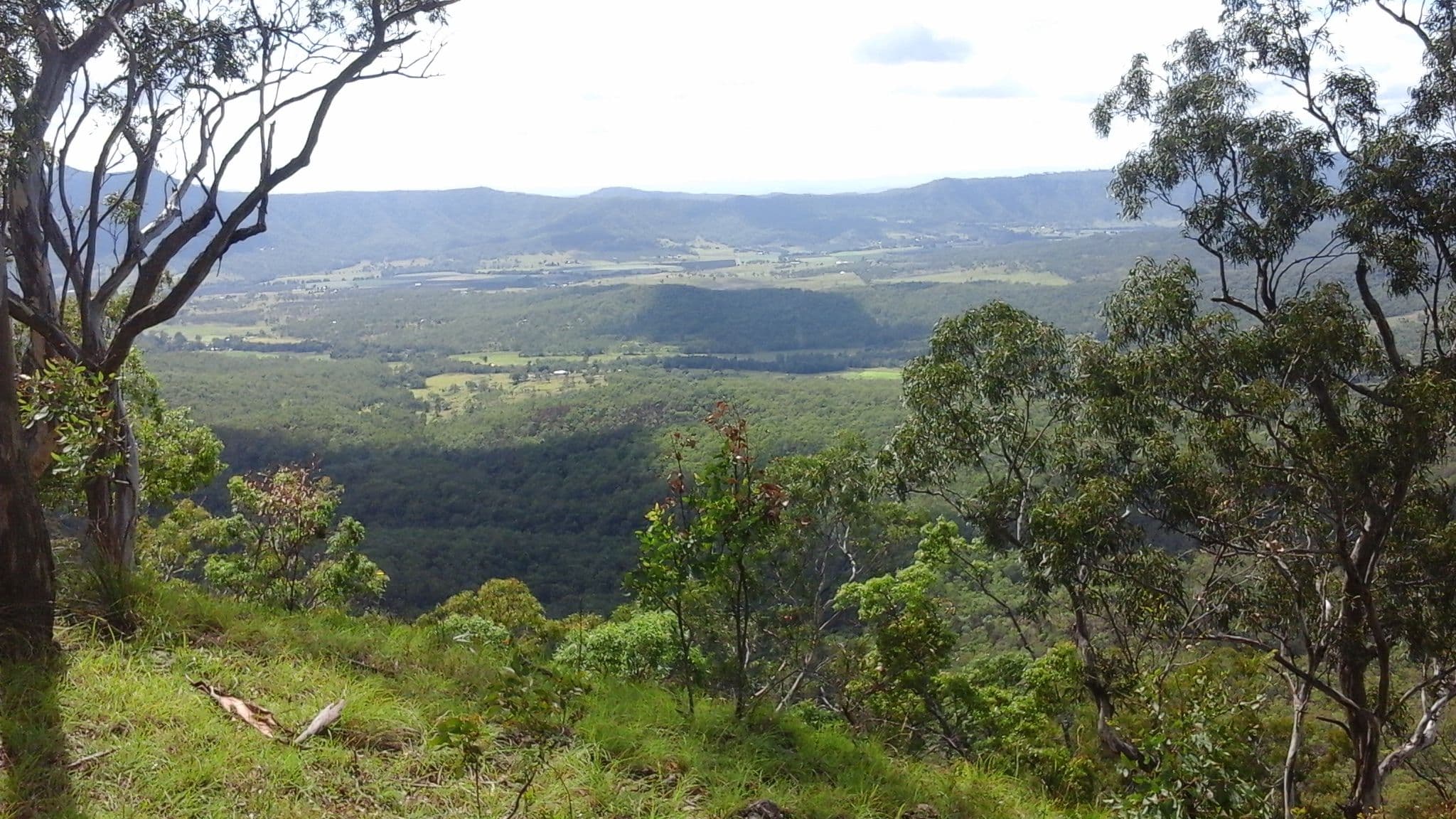 ' Wilderness Retreat' 1531 Left Hand Branch Road, THORNTON QLD 4341, Thornton - Image 1