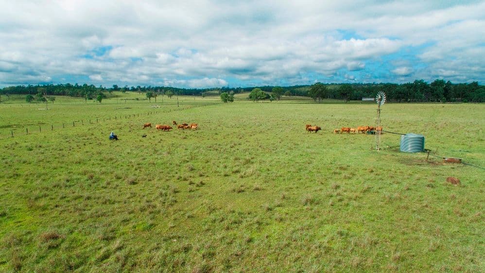 125 Sippels Road, Grandchester QLD 4340, Grandchester - Image 1