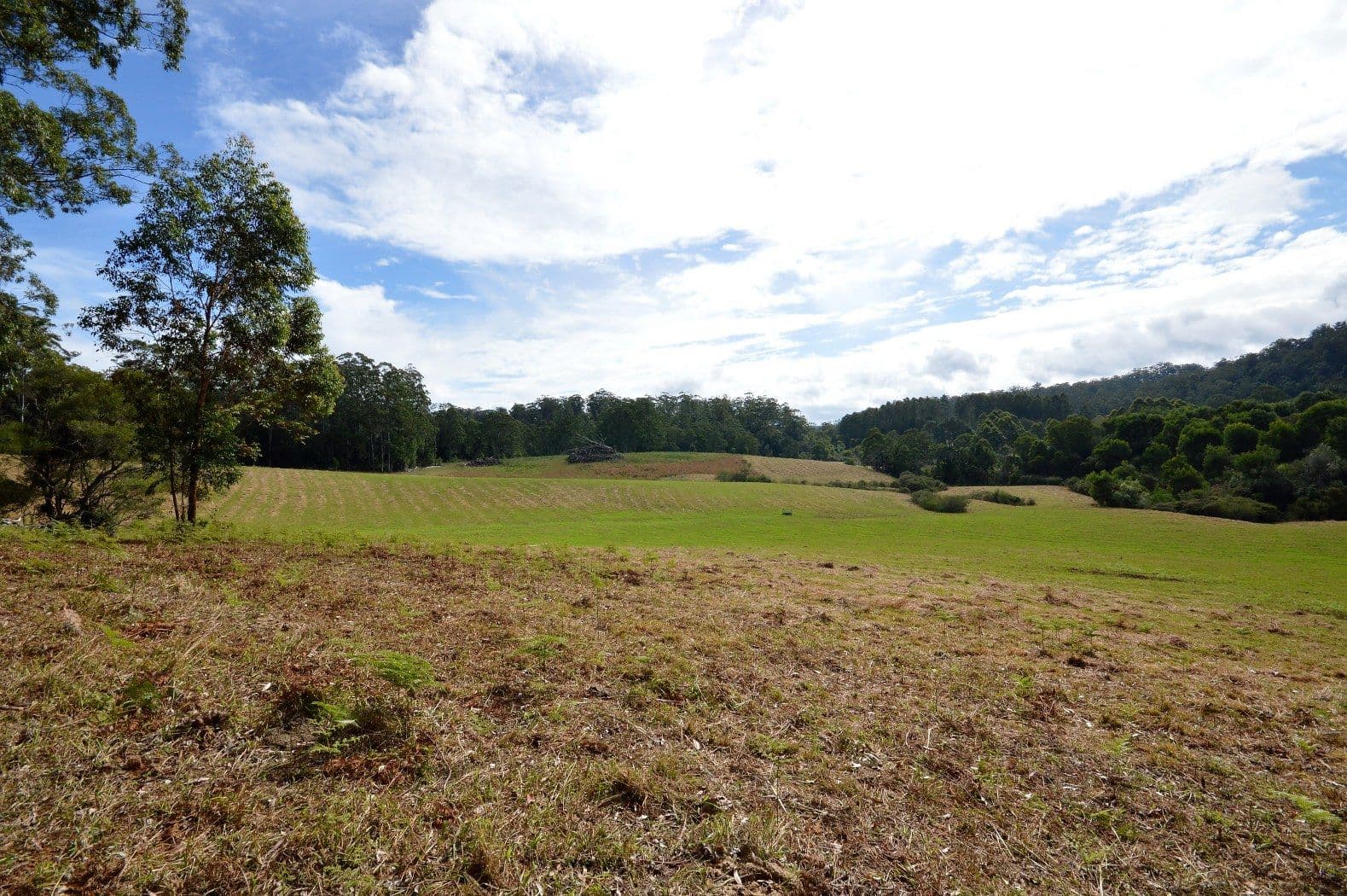 Lot 70 Timmsvale Road, Ulong NSW 2450, Ulong - Image 1