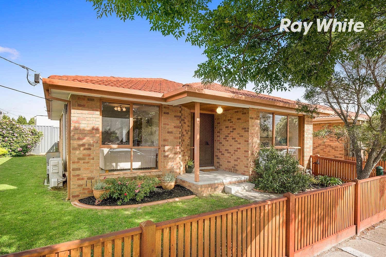 31 Cavanagh Street, Cheltenham VIC 3192, Cheltenham - Image 1