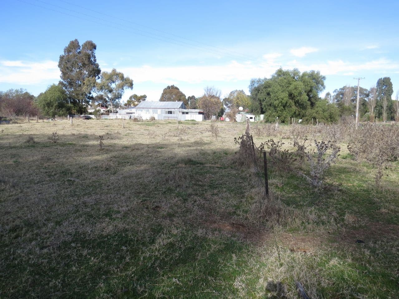 Lots 10 & 11 Redbank Street, Greenethorpe NSW 2809, Greenethorpe - Image 1