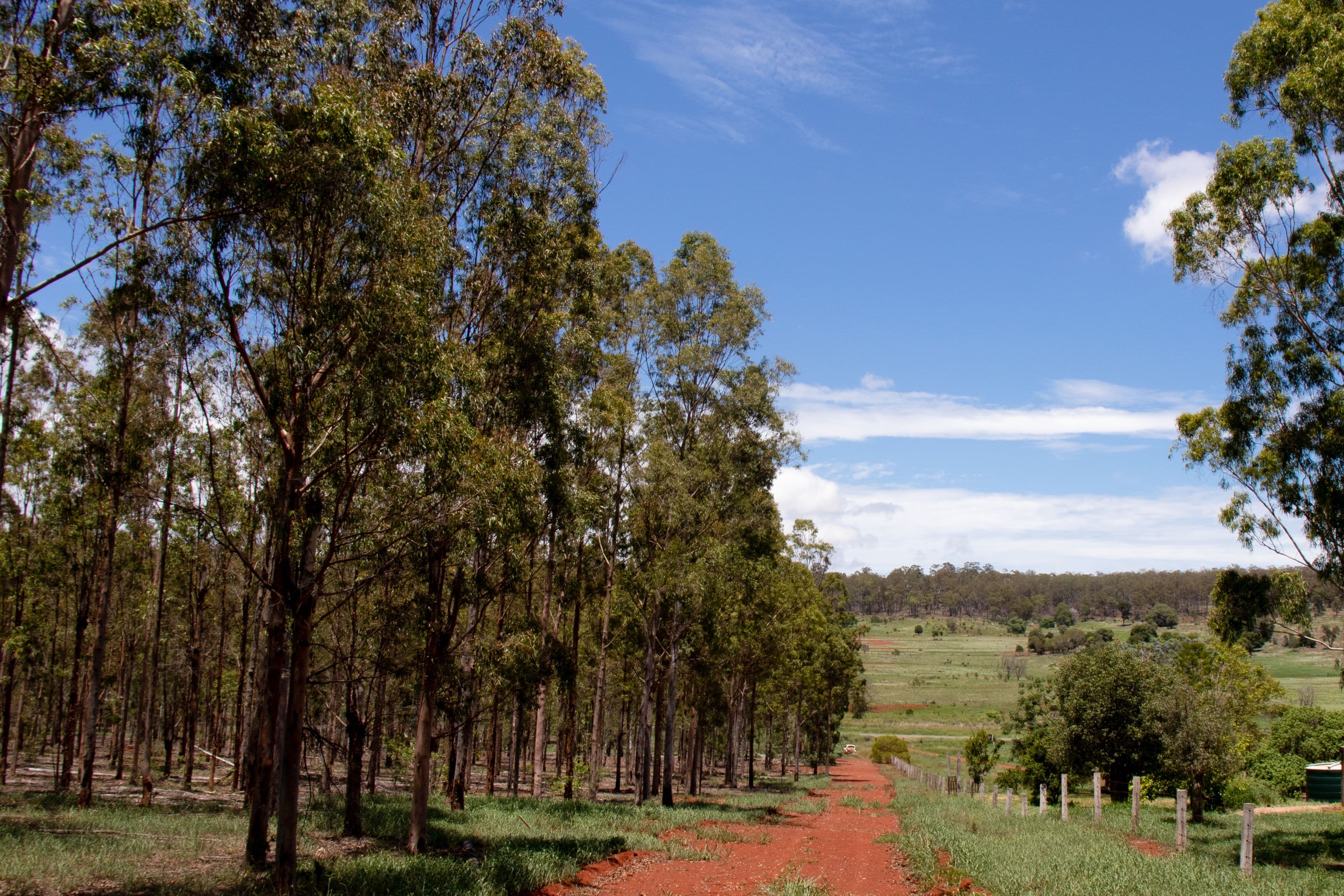 'Hooper' Burnett Highway, Binjour QLD 4625, Binjour - Image 1