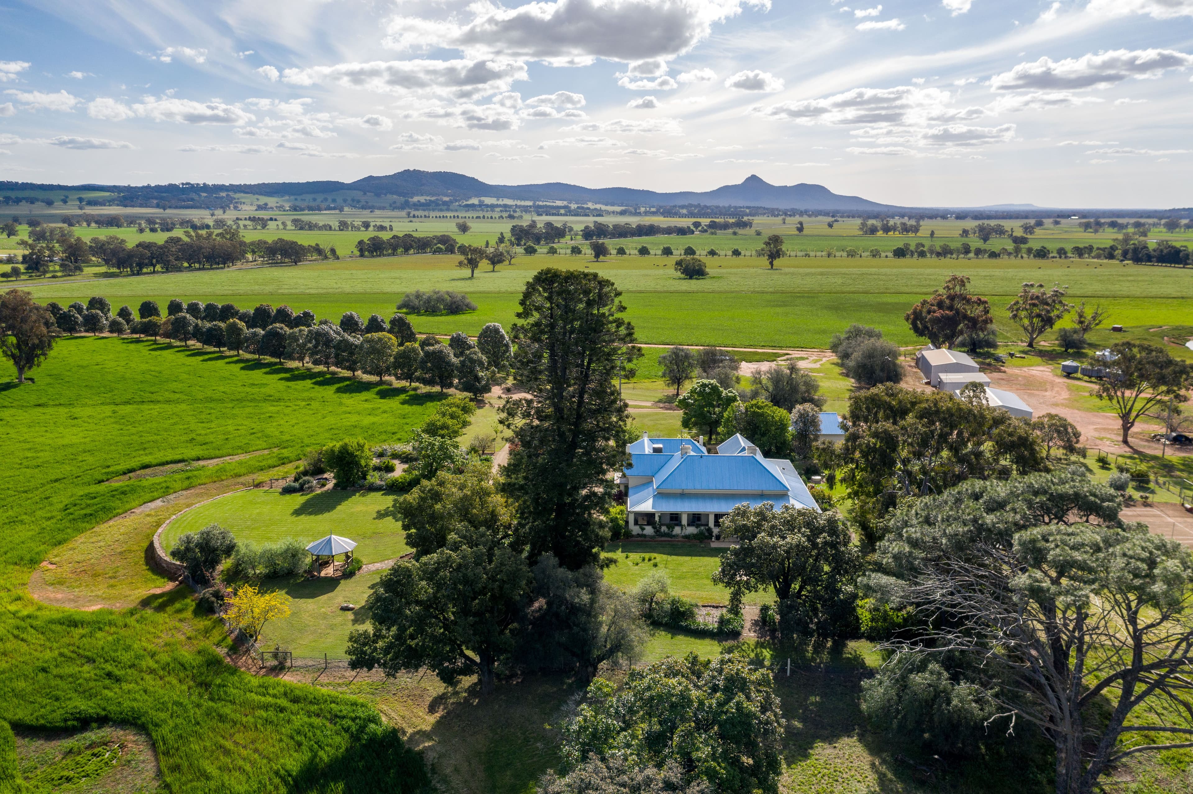 559 The Rock Mangoplah Road, The Rock NSW 2655, The Rock - Image 1