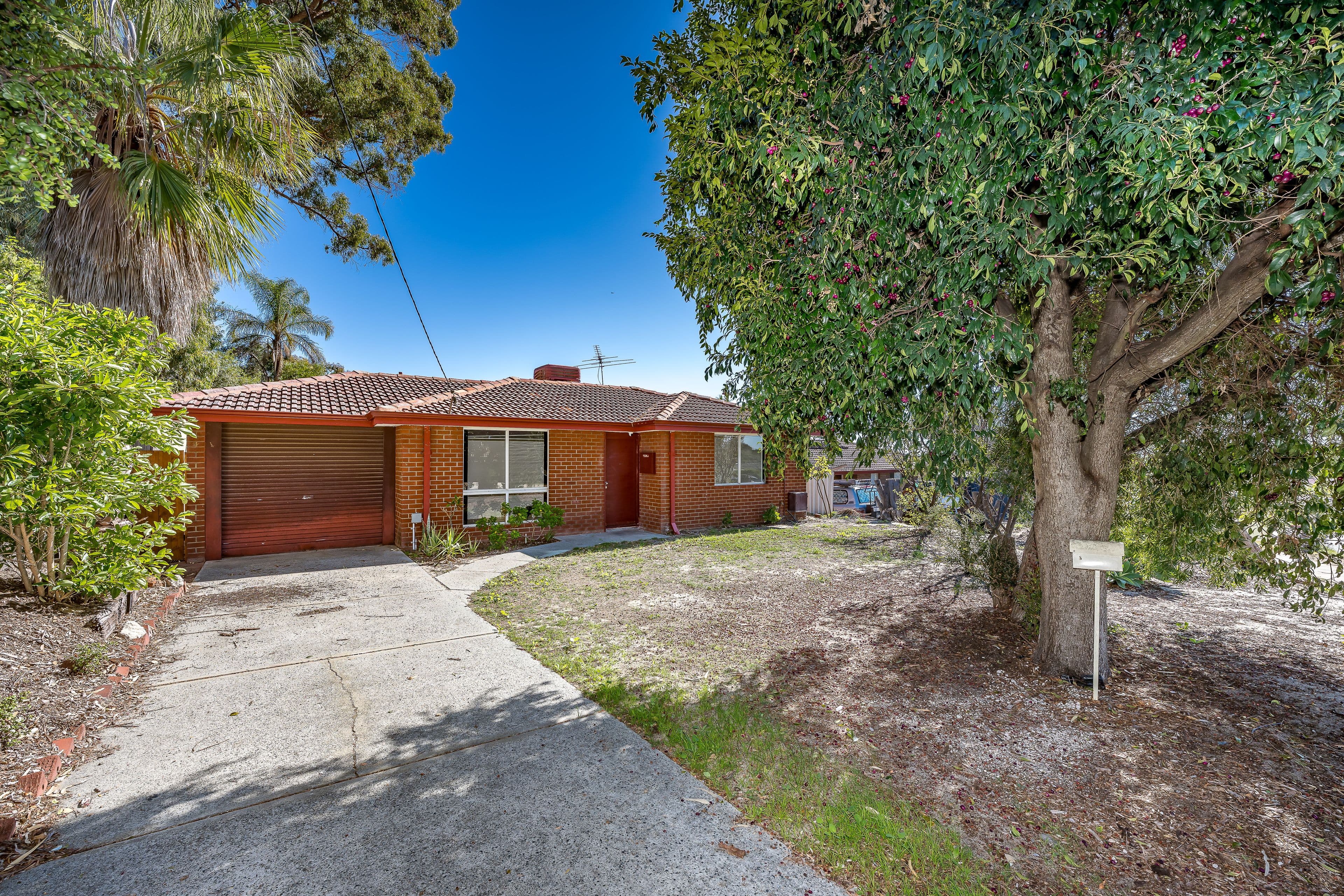 29 Scott Road, Wanneroo WA 6065, Wanneroo - Image 1