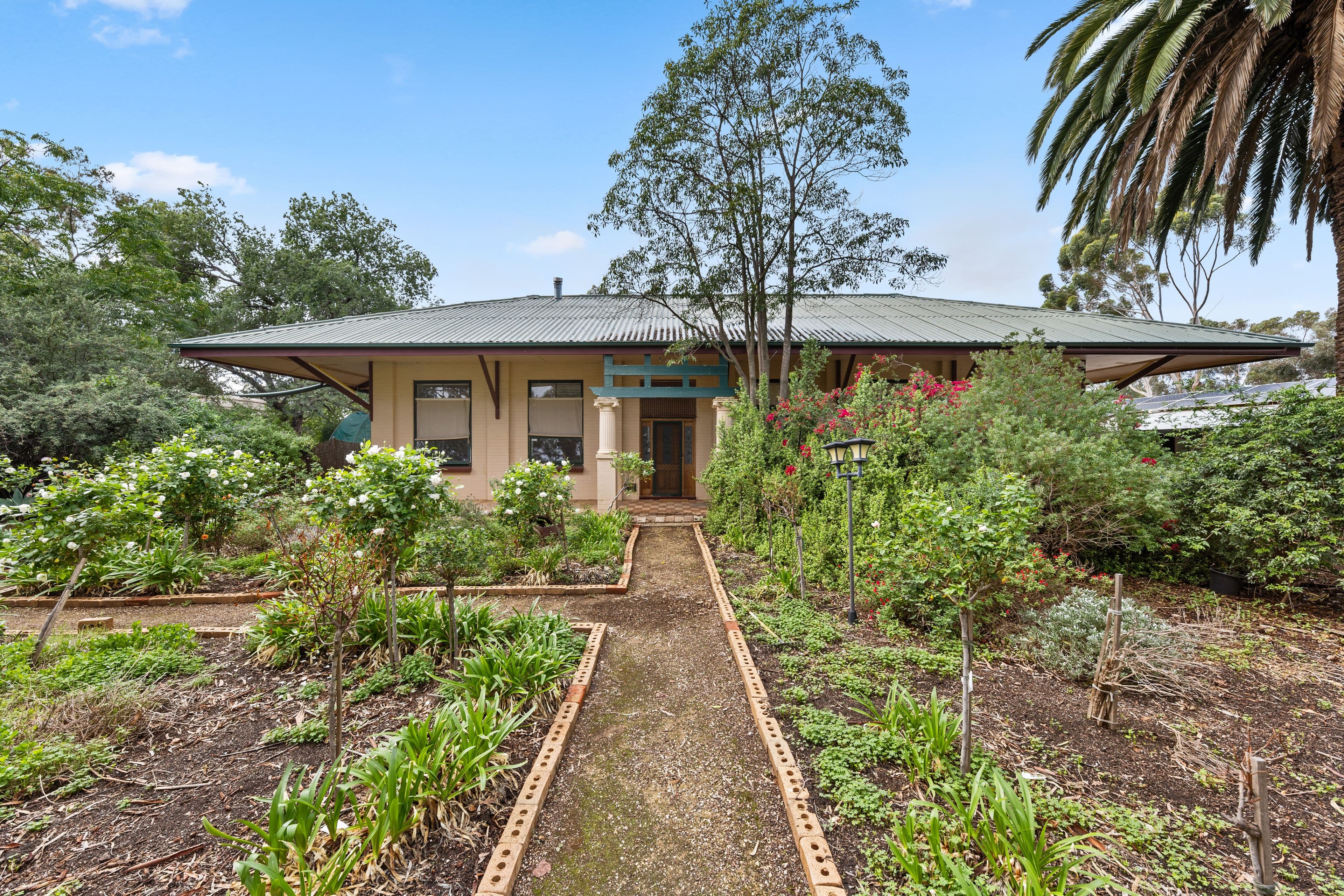 62 Mcintyre Road, Macdonald Park SA 5121, Macdonald Park - Image 1