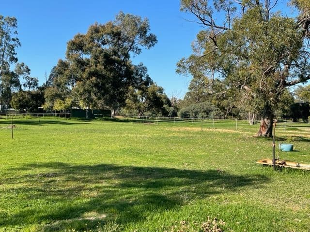 55 Valcan Road, Orange Grove WA 6109, Orange Grove - Image 1