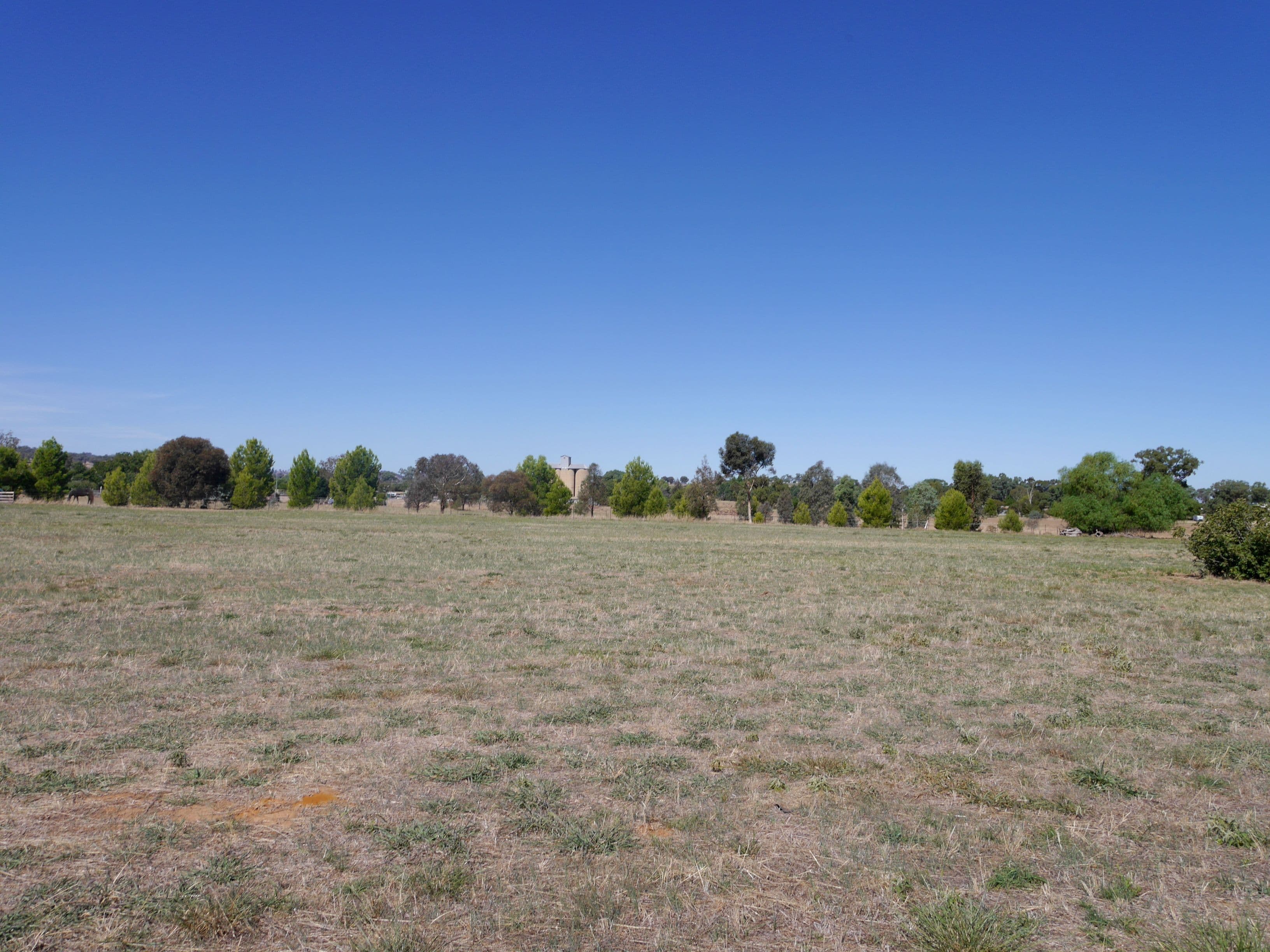 1 Rileys Road, Billimari NSW 2804, Billimari - Image 1