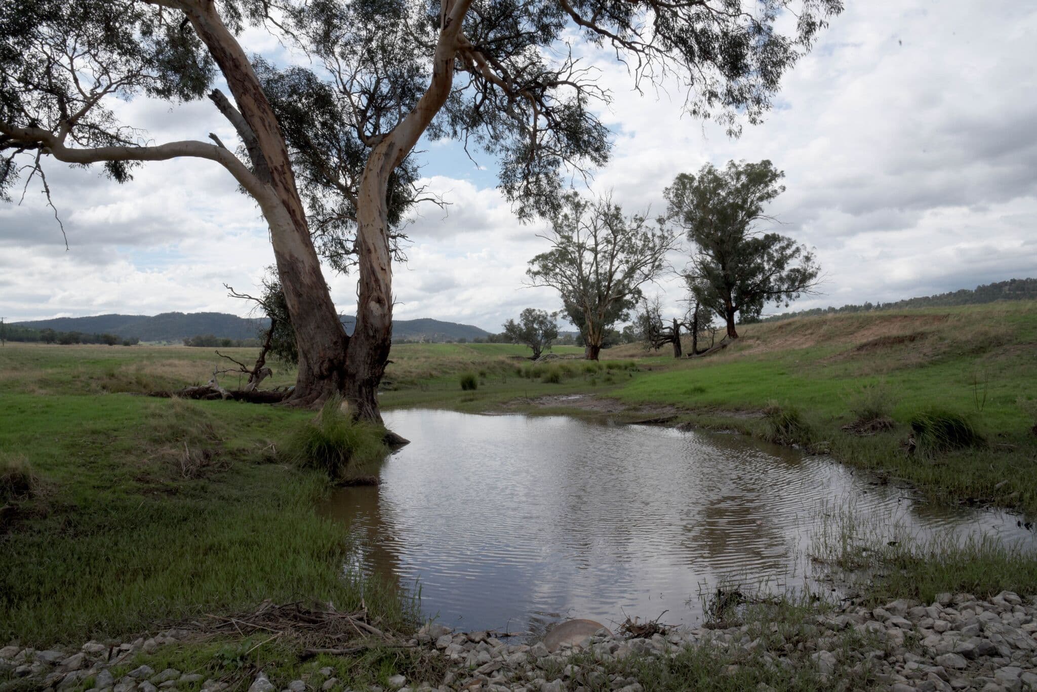 Eugowra NSW 2806, Eugowra - Image 1