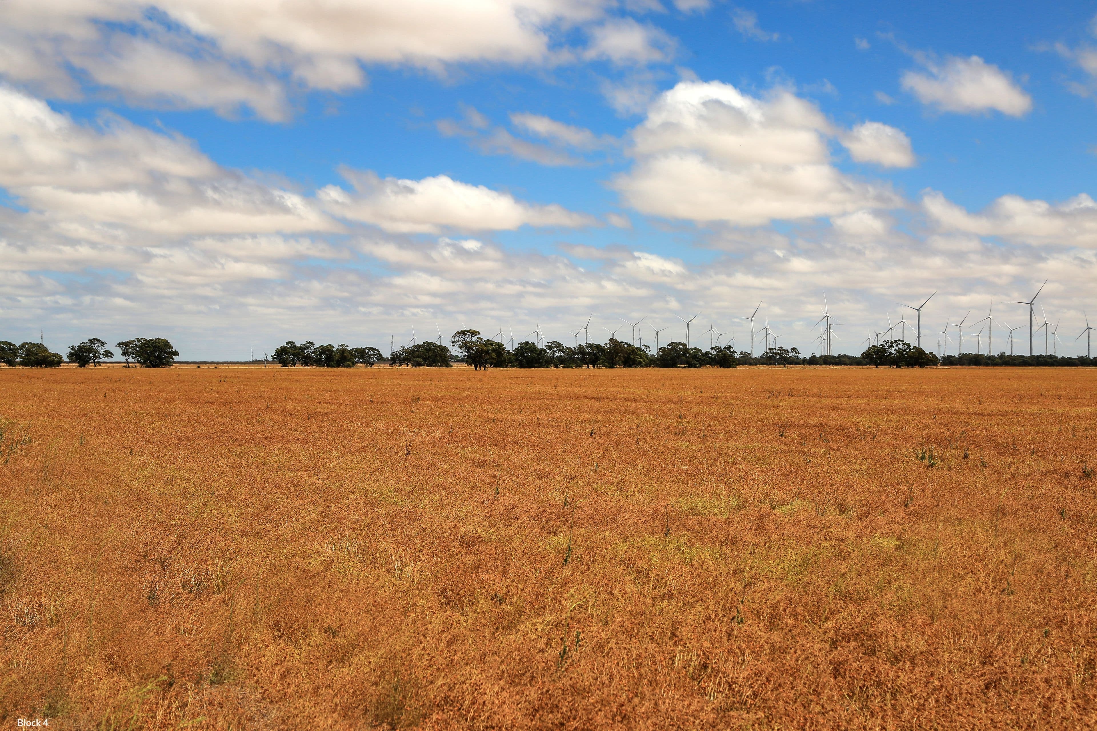 CA164 & 165 Old Minyip Road, Kewell VIC 3390, Kewell - Image 1