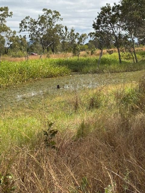 2 Ryans Road, Reid River QLD 4816, Reid River - Image 1
