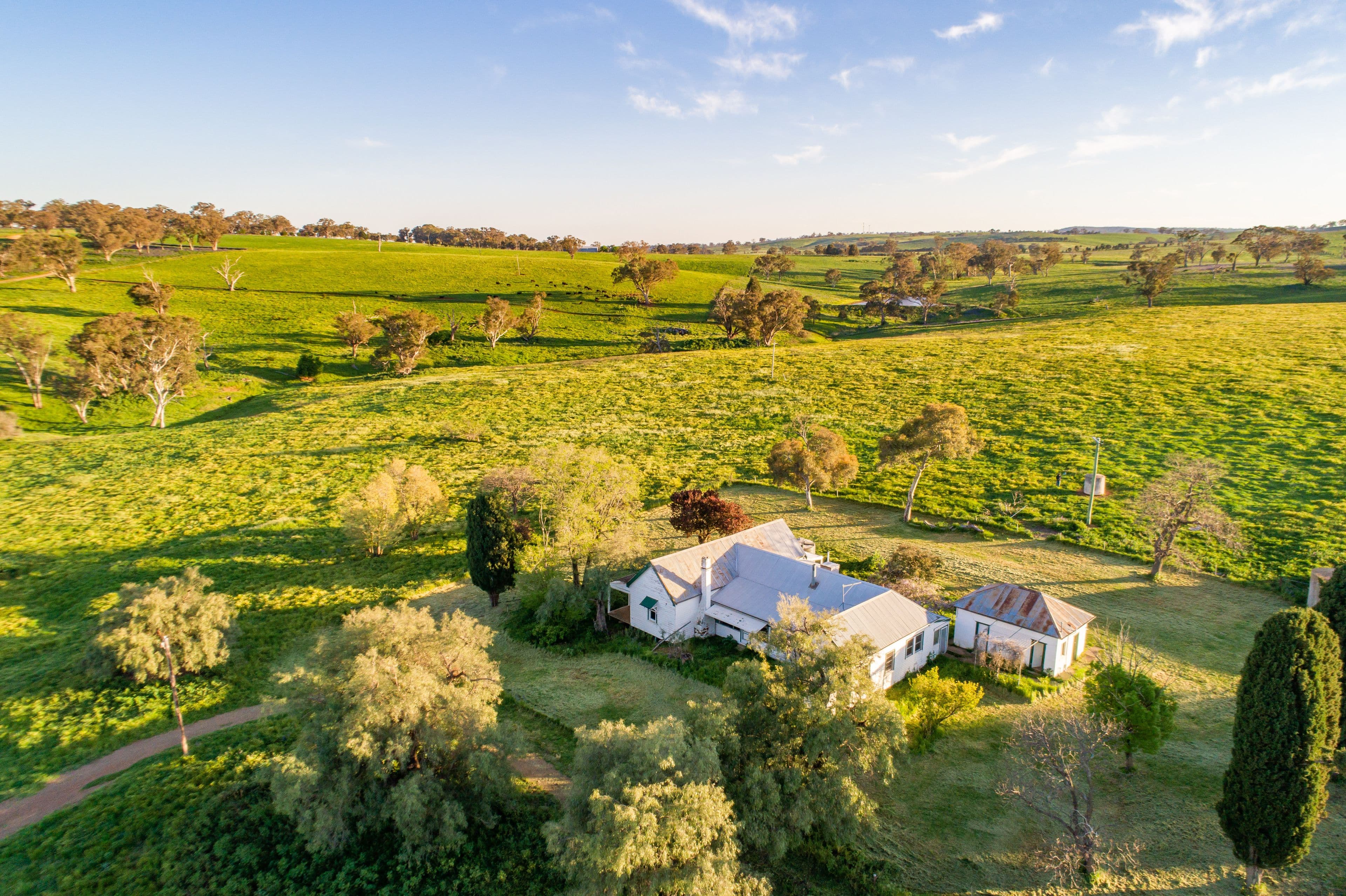 233 Baghdad Road, Cargo NSW 2800, Cargo - Image 1