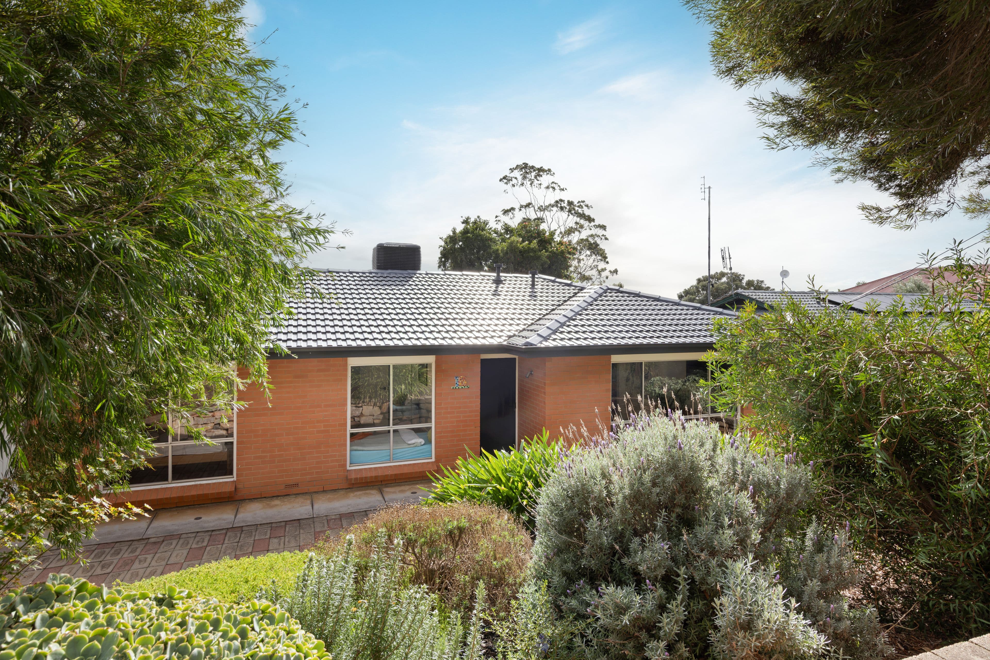 16 Bradbrook Road, Athelstone SA 5076, Athelstone - Image 1