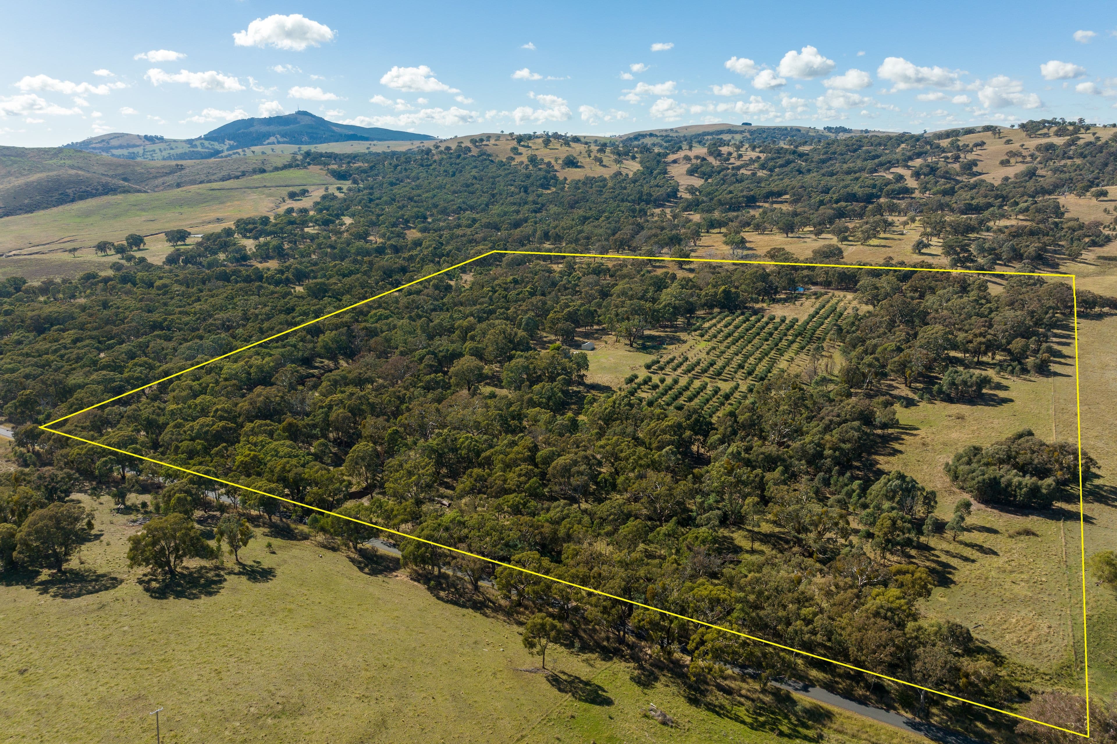 51 Gallymont Road, Mandurama NSW 2792, Mandurama - Image 1