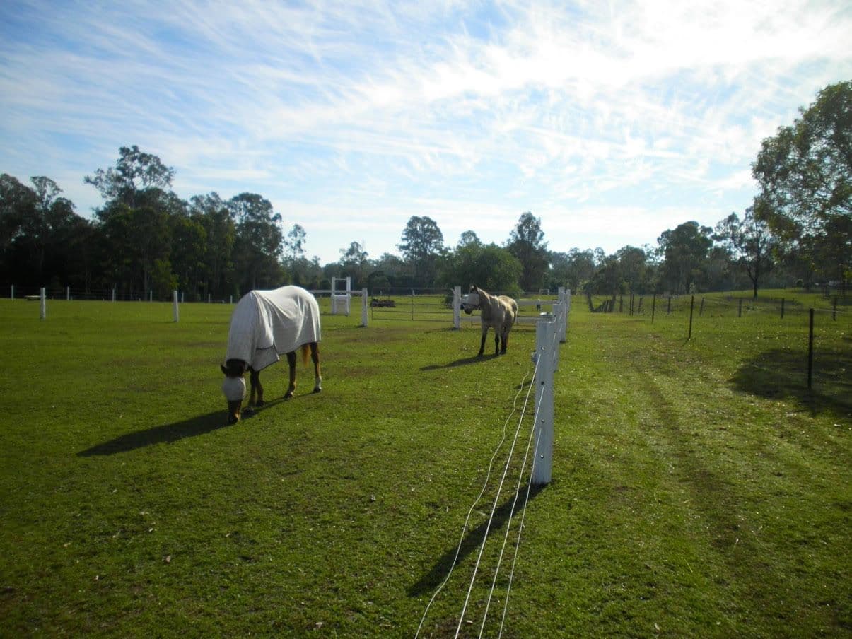 175-191 Leopardwood Road, Cedar Grove QLD 4285, Cedar Grove - Image 1