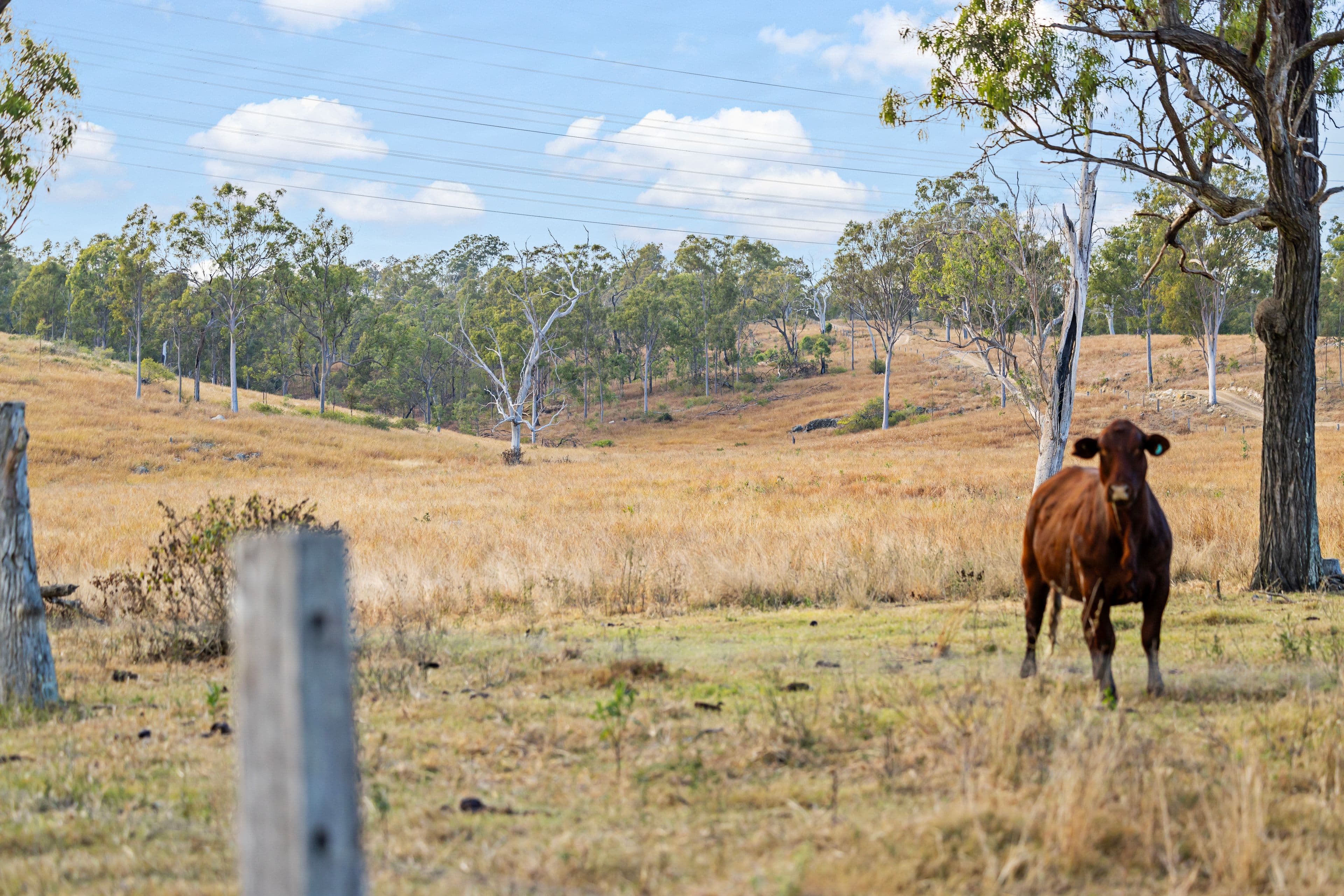 222 Tooloorum Road, Bryden QLD 4312, Bryden - Image 1