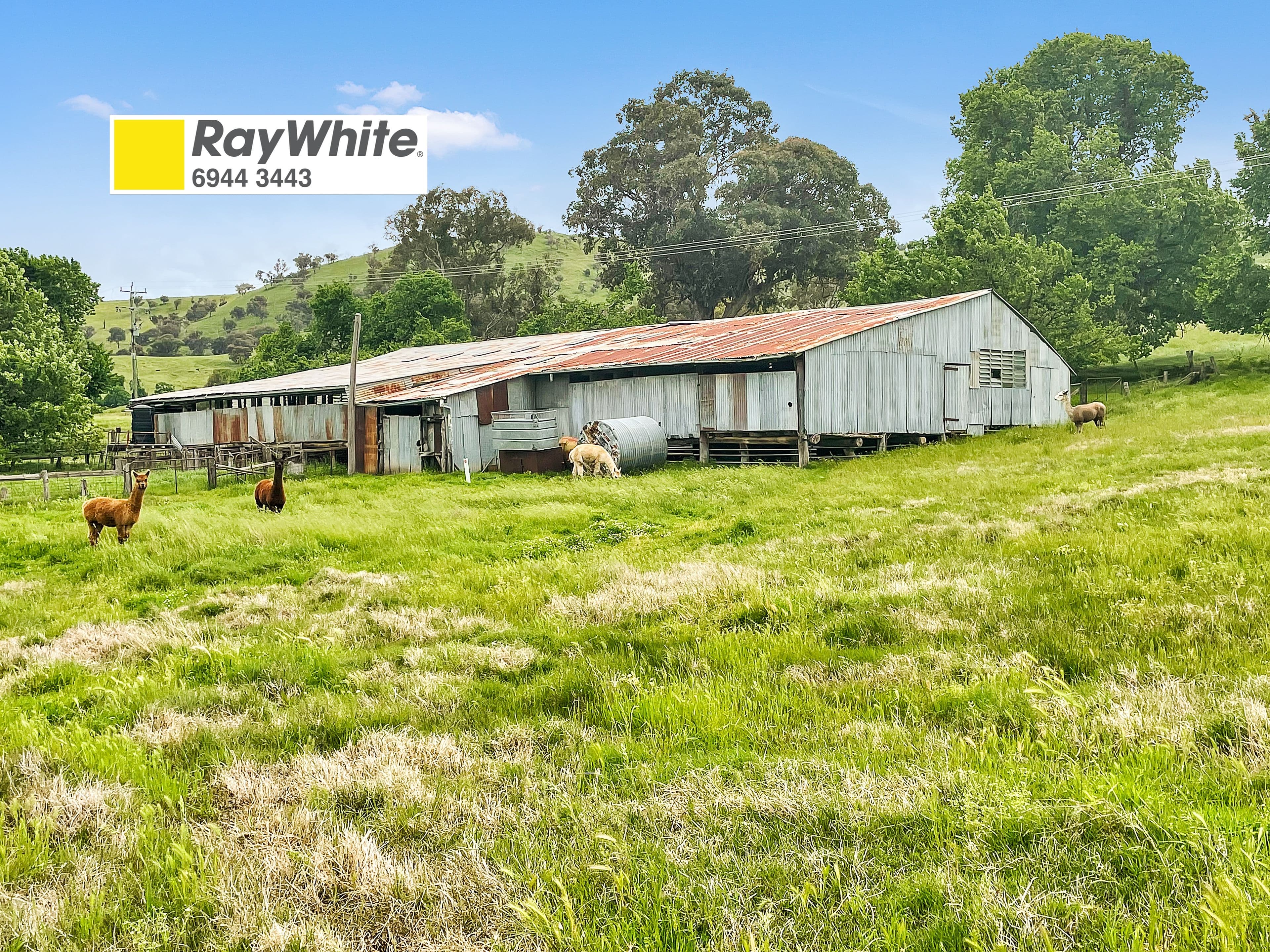 34 Reno Road, Gundagai NSW 2722, Gundagai - Image 1