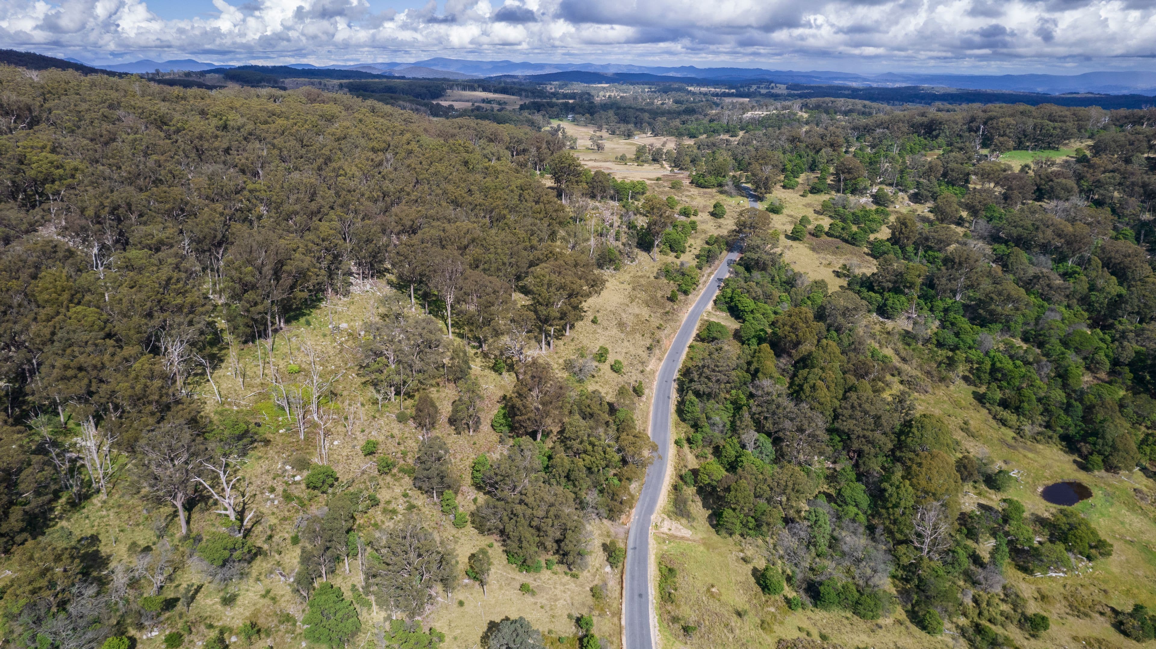 41 Gum Flat Road, Tenterfield NSW 2372, Tenterfield - Image 1