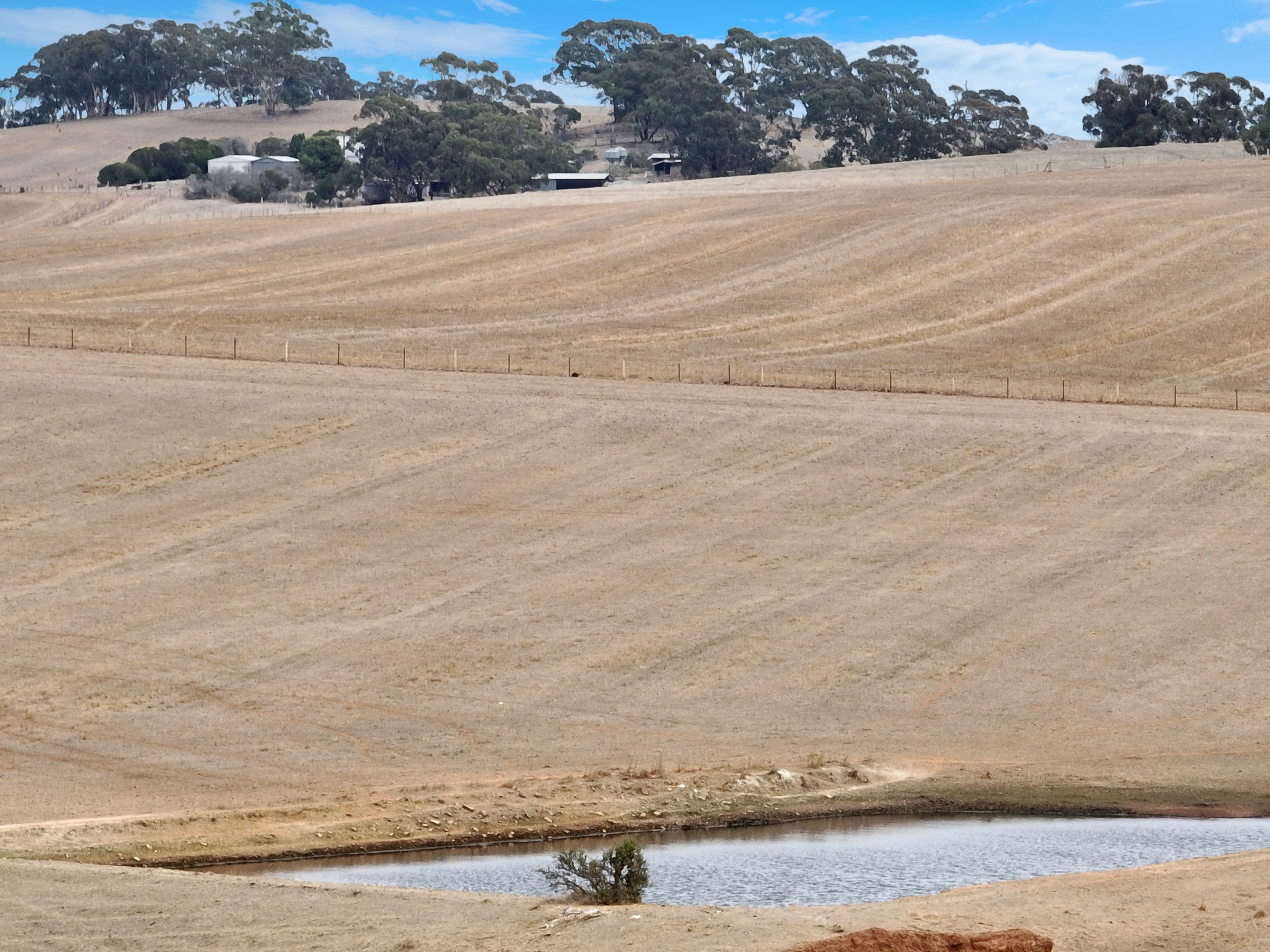 240 Roehr Road, Tarnma SA 5413, Tarnma - Image 1
