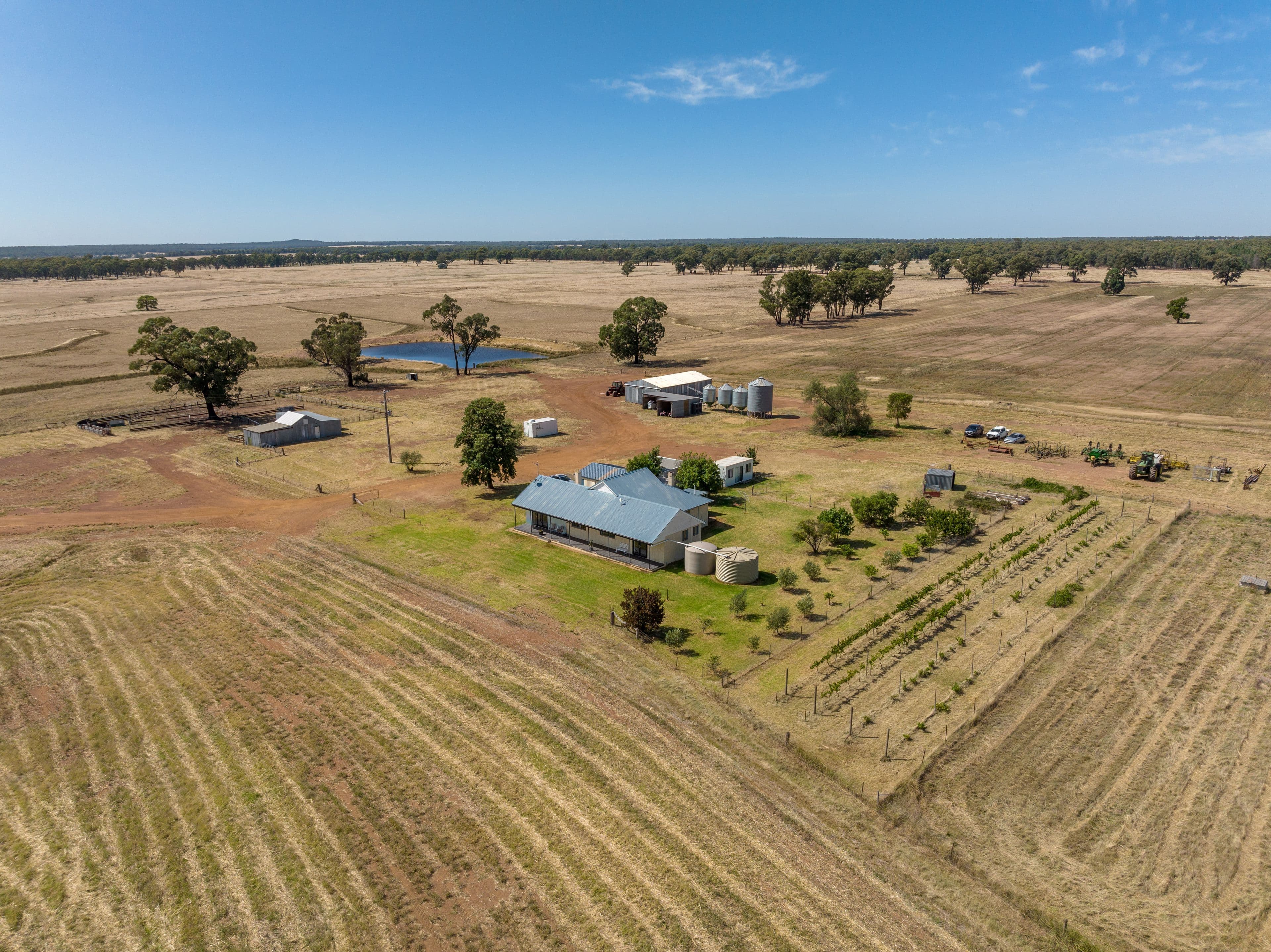 207 Jepsons Road, Bectric via, Temora NSW 2666, Temora - Image 1