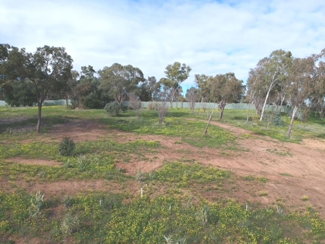 38 Arundle Avenue, Greenmount WA 6056, Greenmount - Image 1