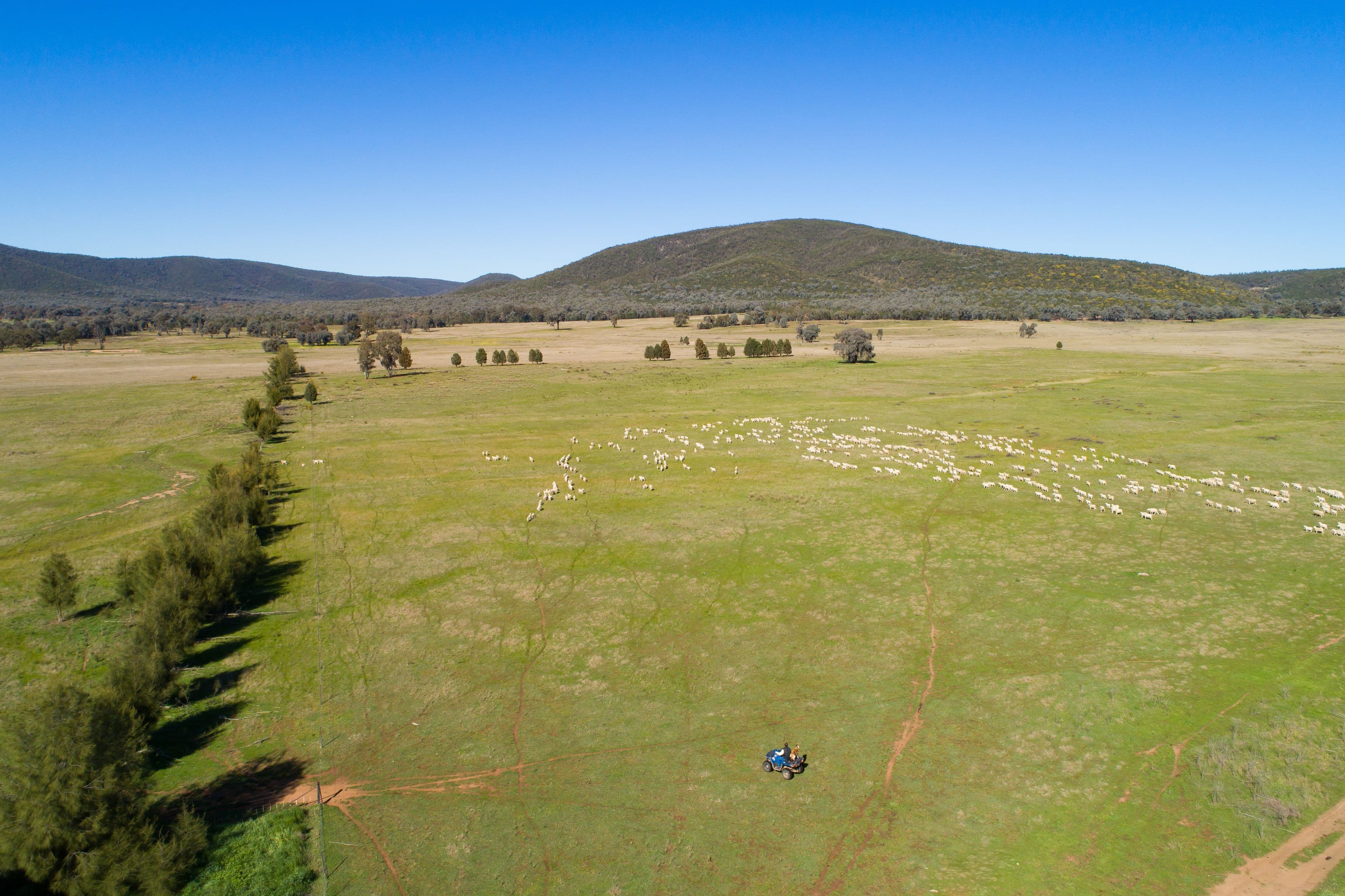 Spring Mount' Crowther Road, Gooloogong NSW 2805, Gooloogong - Image 1