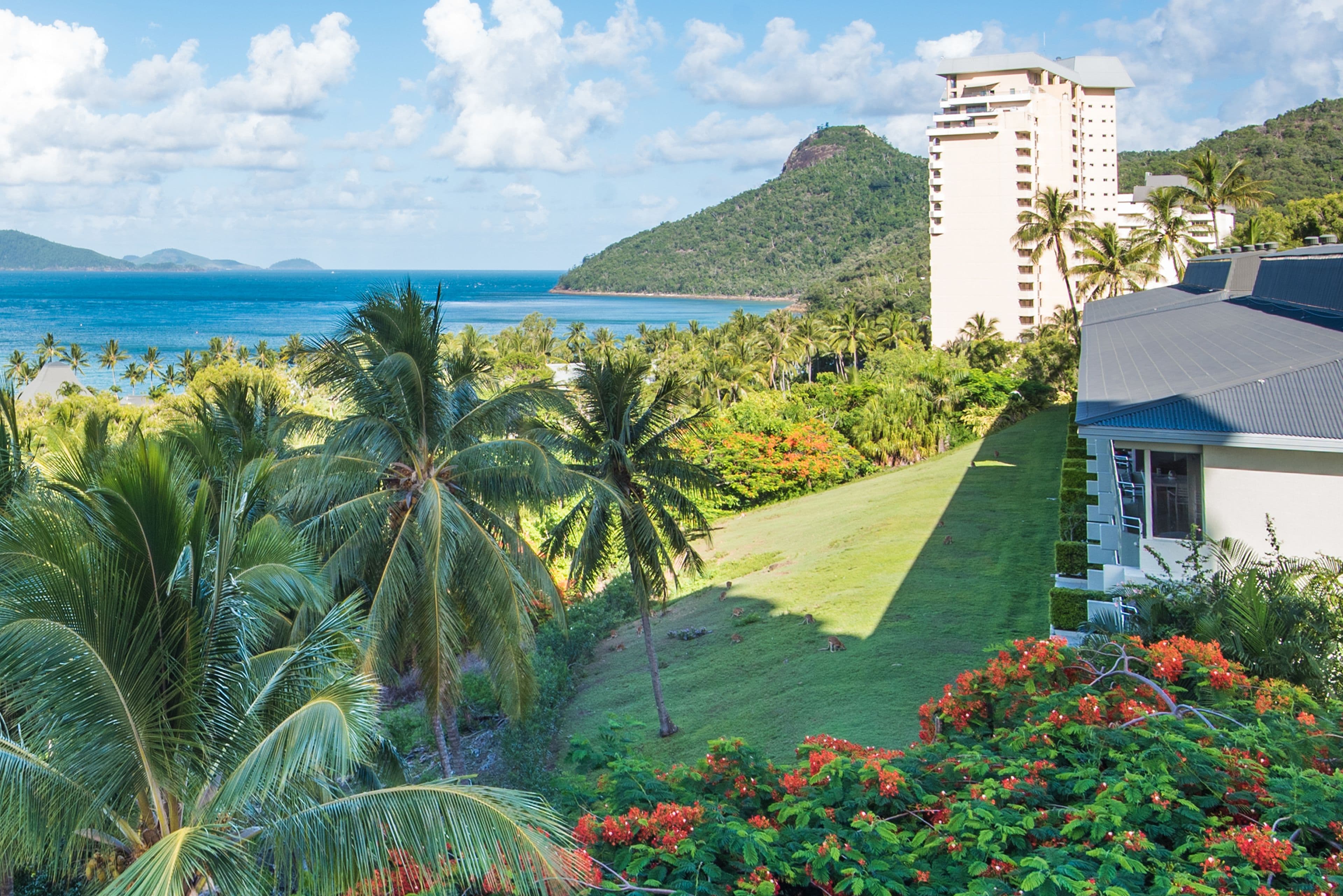 003/2 Marina Drive, Poinciana Lodge, Hamilton Island QLD 4803, Hamilton Island - Image 1