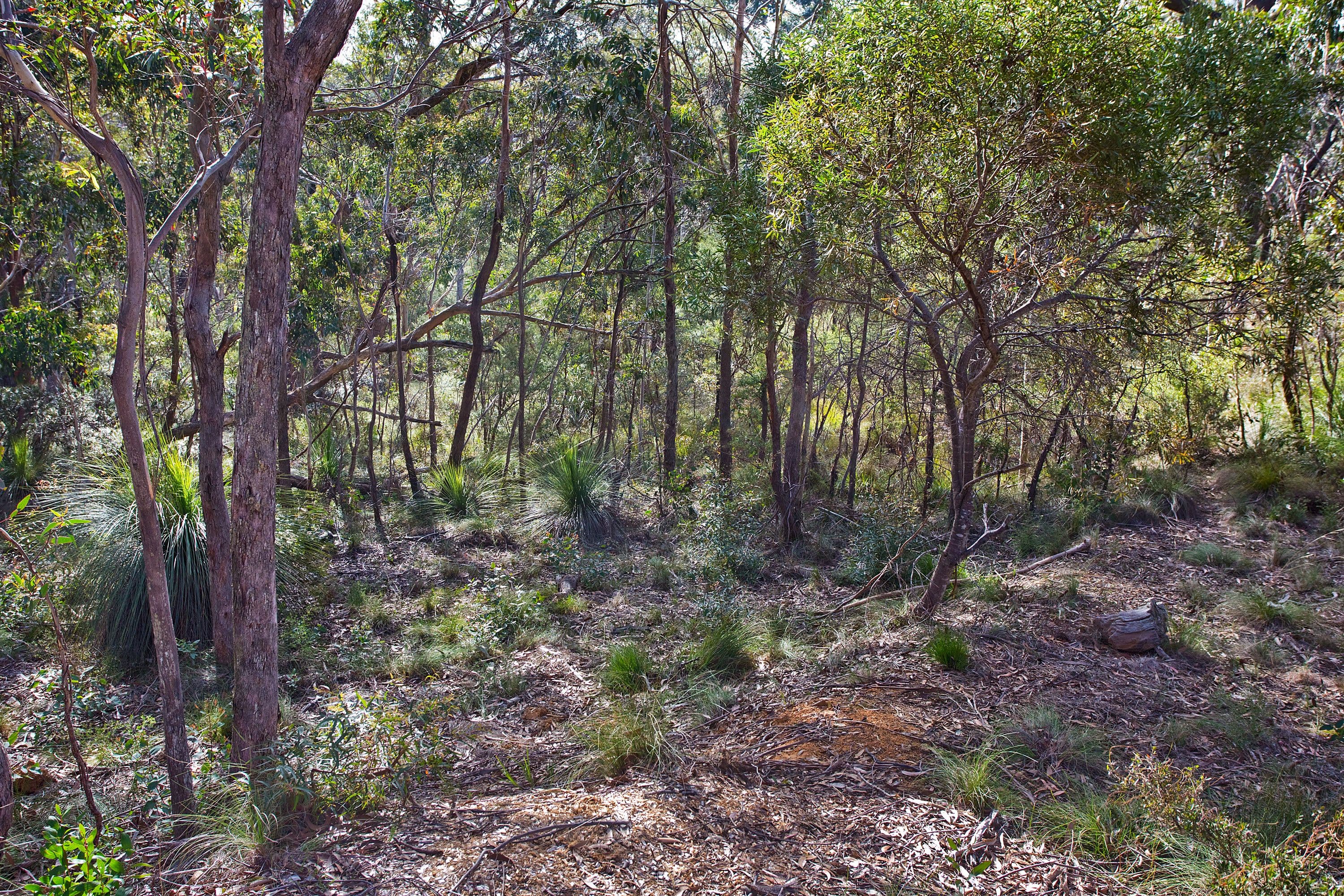 Block 8 - Lot 173 and 125 DP 16449 - 40 Godson Avenue, BLACKHEATH NSW 2785, Blackheath - Image 1