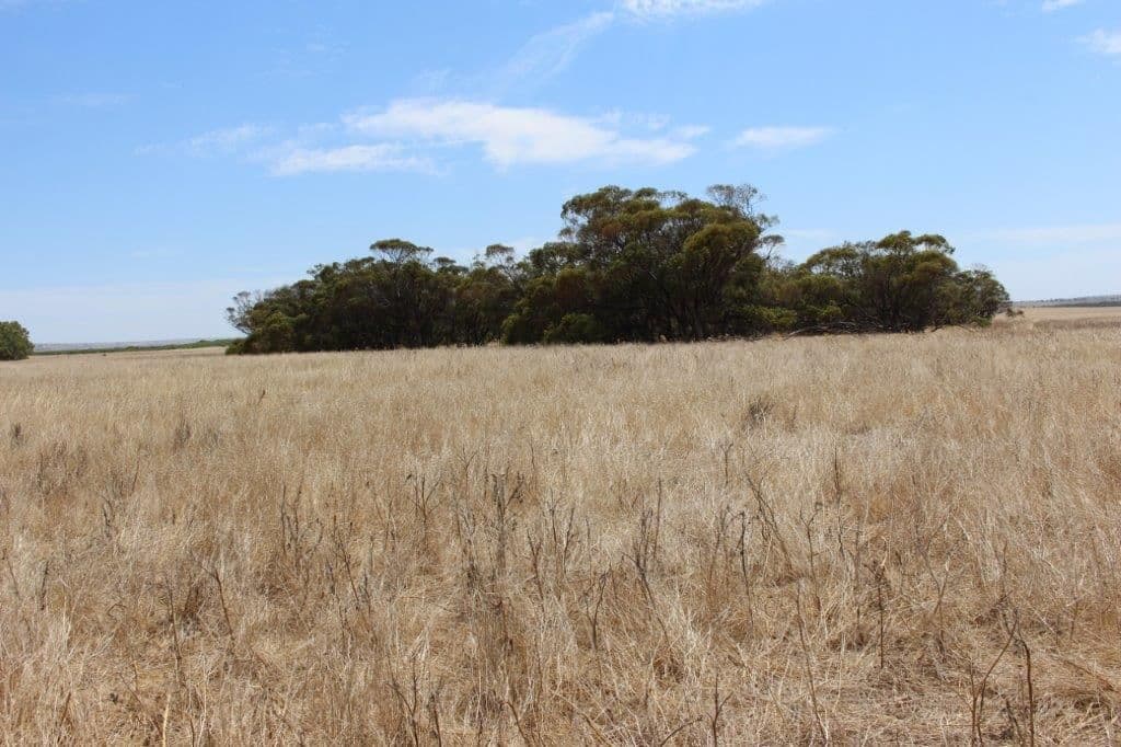 Lot M344 Mt Horner Road, Yardarino WA 6525, Yardarino - Image 1