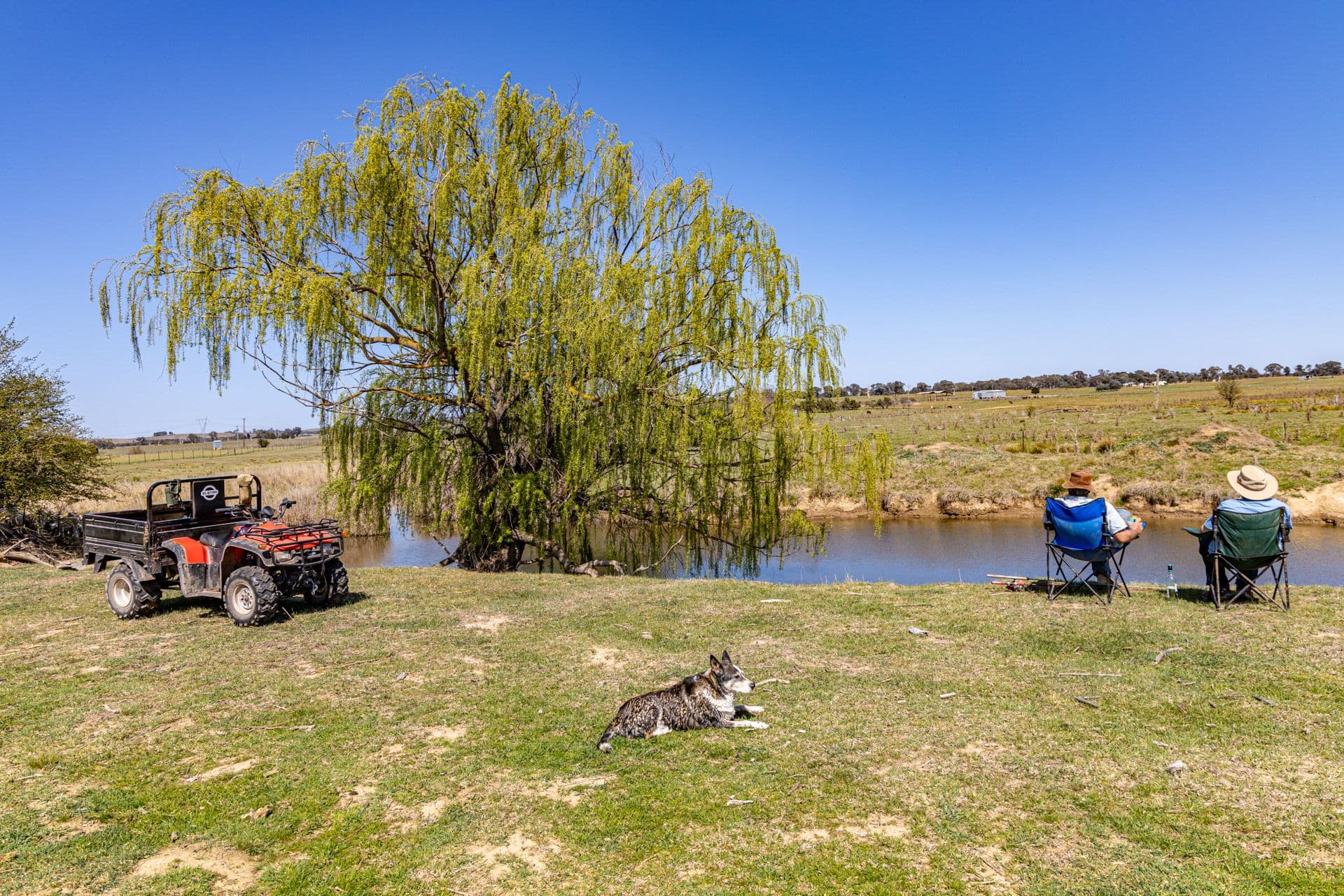 55 Felled Timber Road, Dalton NSW 2581, Dalton - Image 1