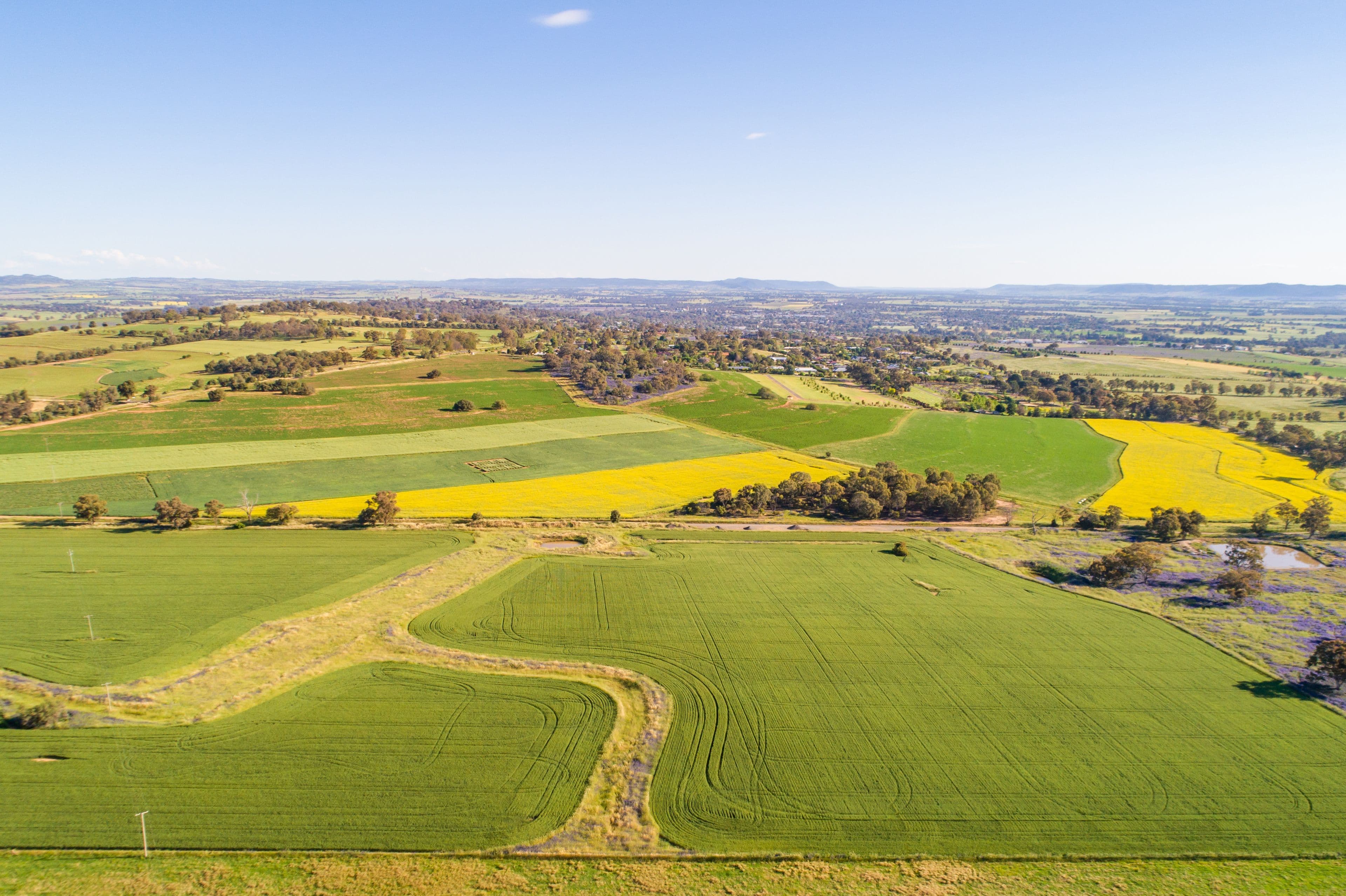 Cowra NSW 2794, Cowra - Image 1