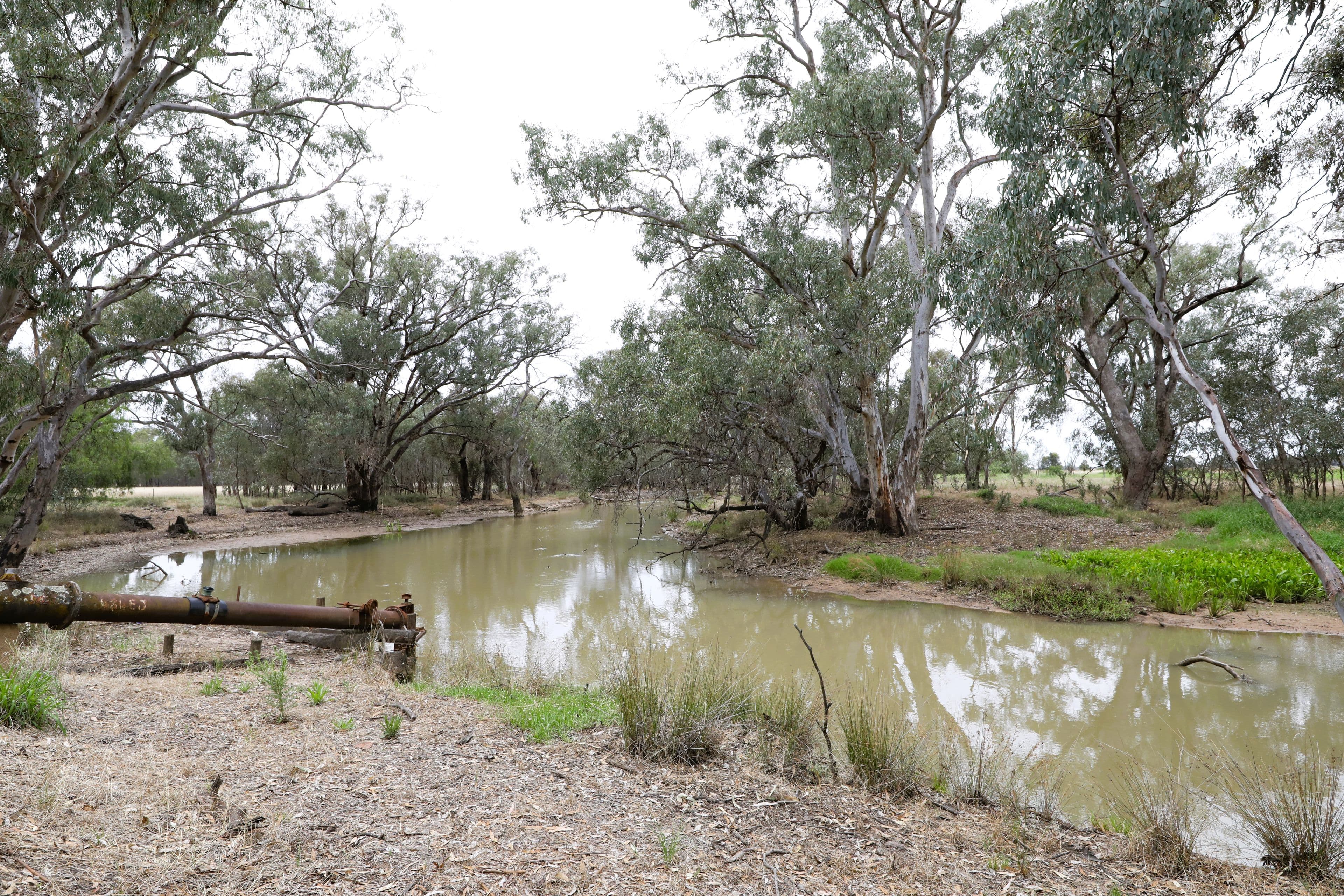 83 Gribben Road, Invergordon VIC 3636, Invergordon - Image 1