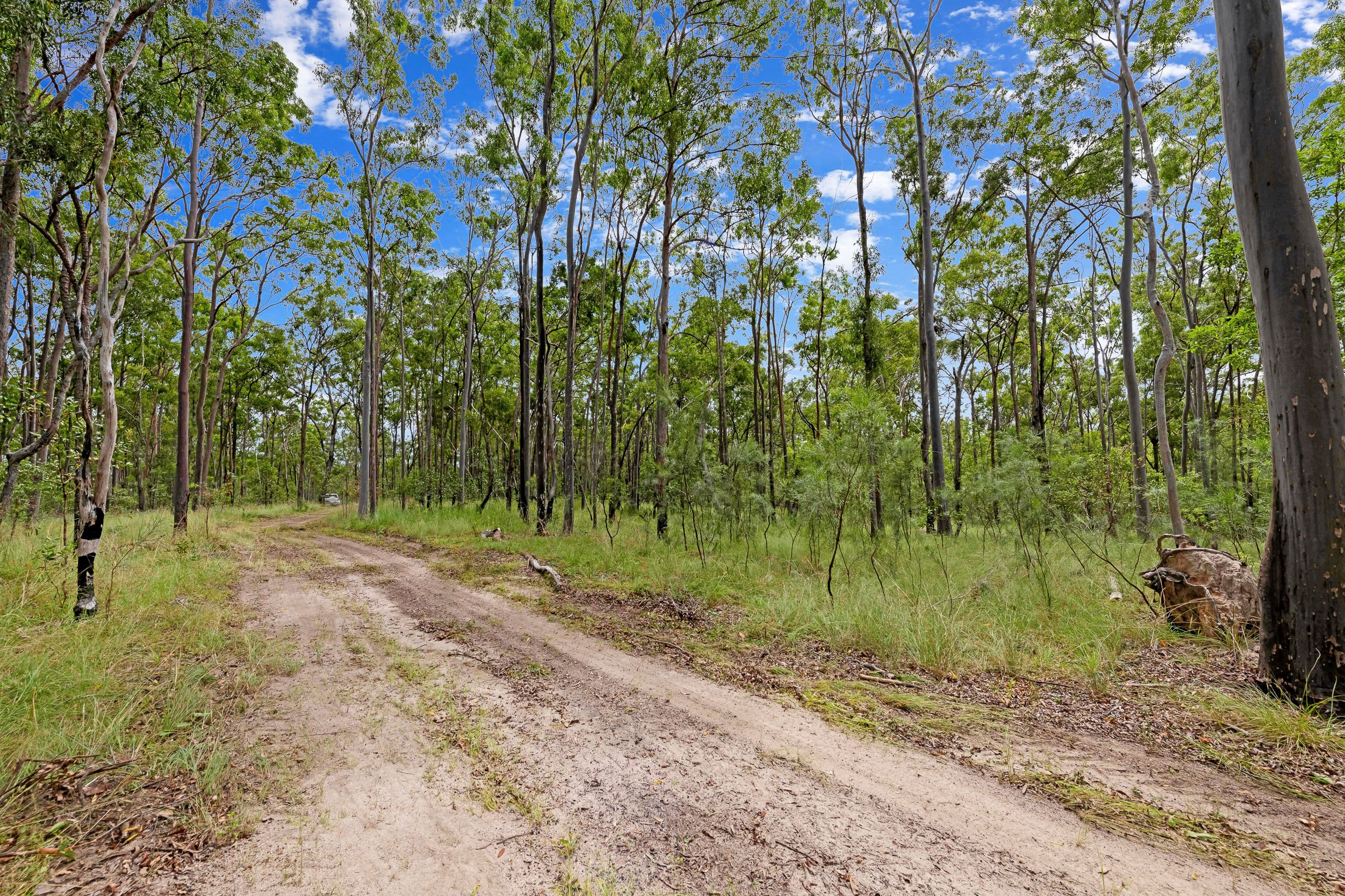 96 Jones North Road, Abbotsford QLD 4670, Abbotsford - Image 1