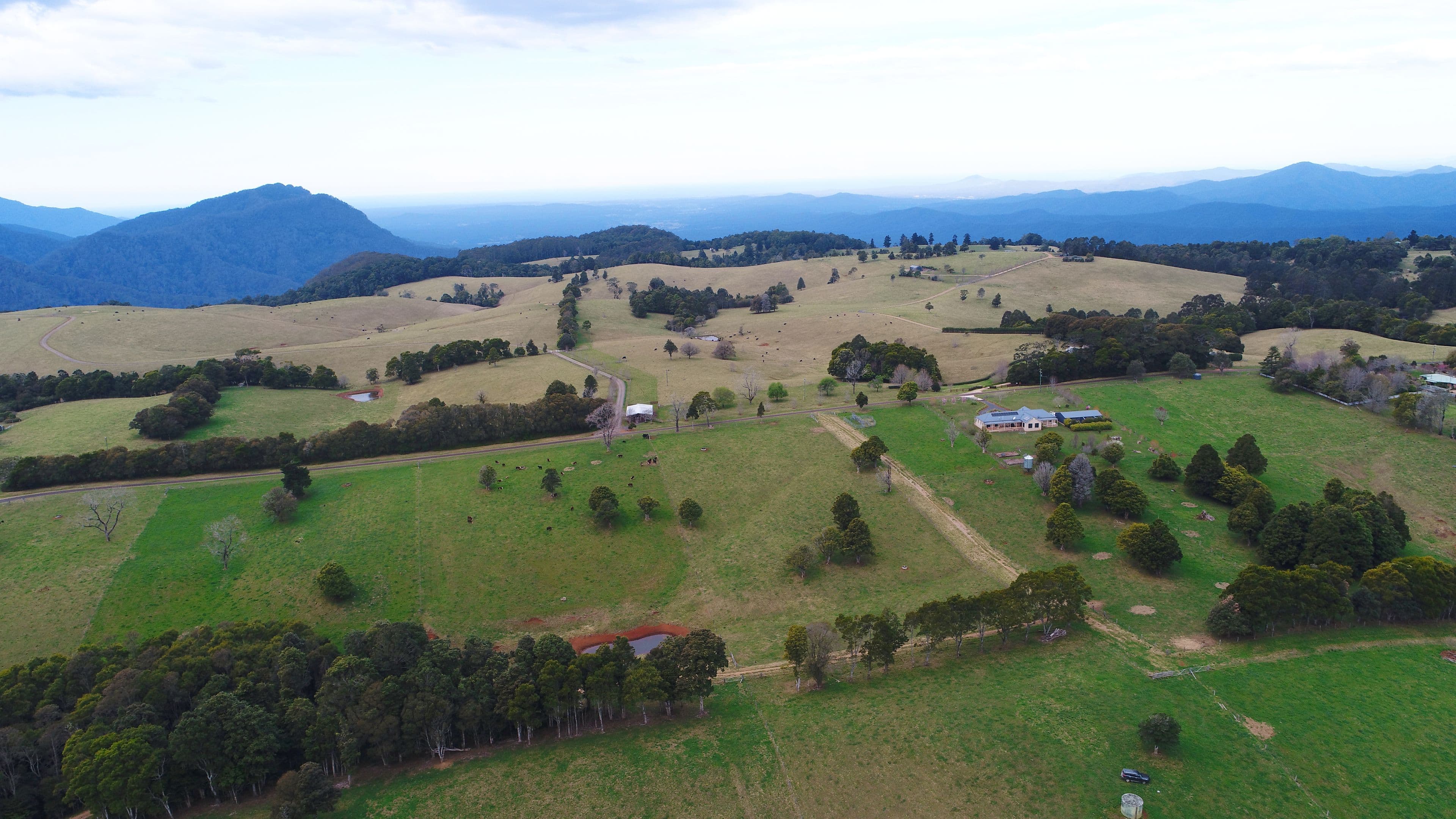 Dorrigo Mountain NSW 2453, Dorrigo Mountain - Image 1