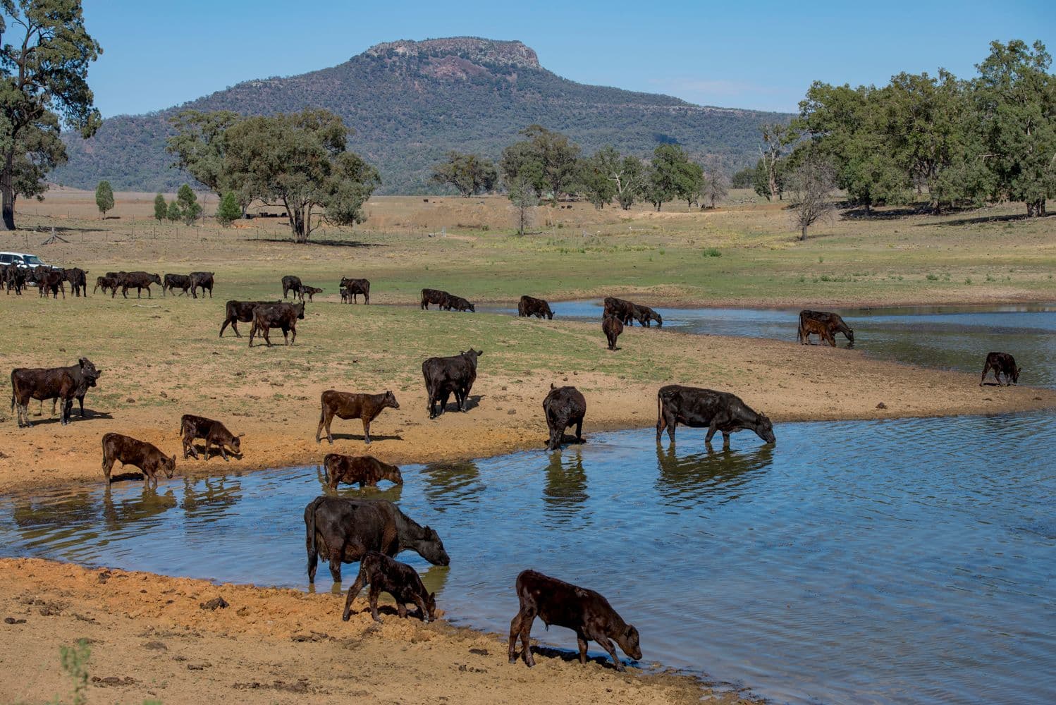 ' MT BULLAWAY STATION', COONABARABRAN NSW 2357, Coonabarabran - Image 1