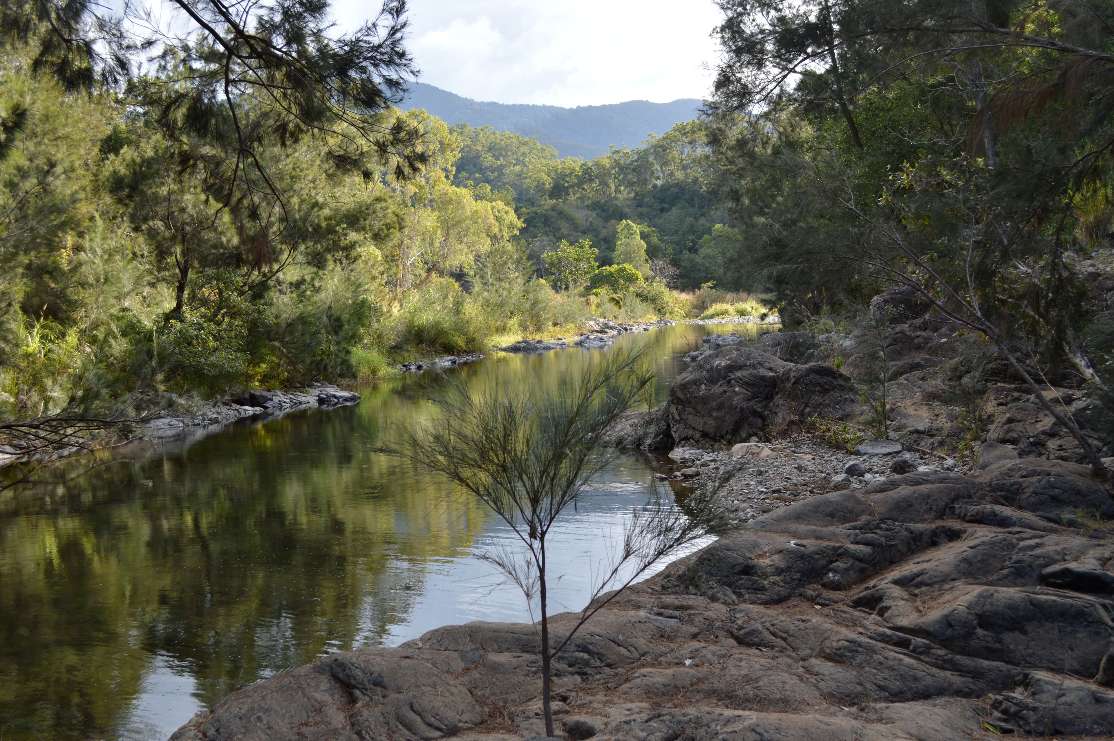 335 Cathu-OConnell River Road, Yalboroo QLD 4741, Yalboroo - Image 1