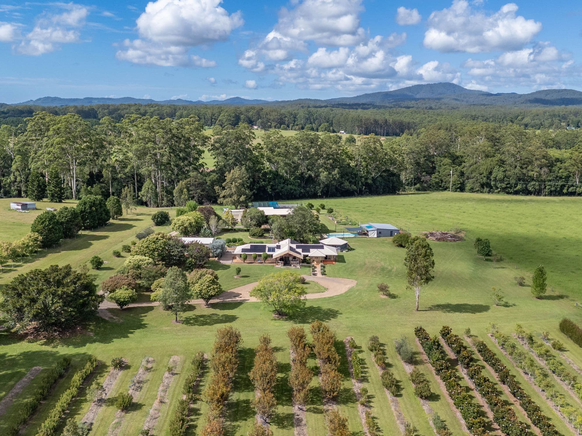 190D McClellands Road, Bucca NSW 2450, Bucca - Image 1