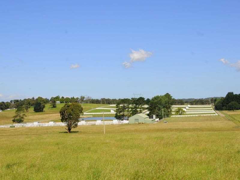 271 Exeter Road, Sutton Forest NSW 2577, Sutton Forest - Image 1
