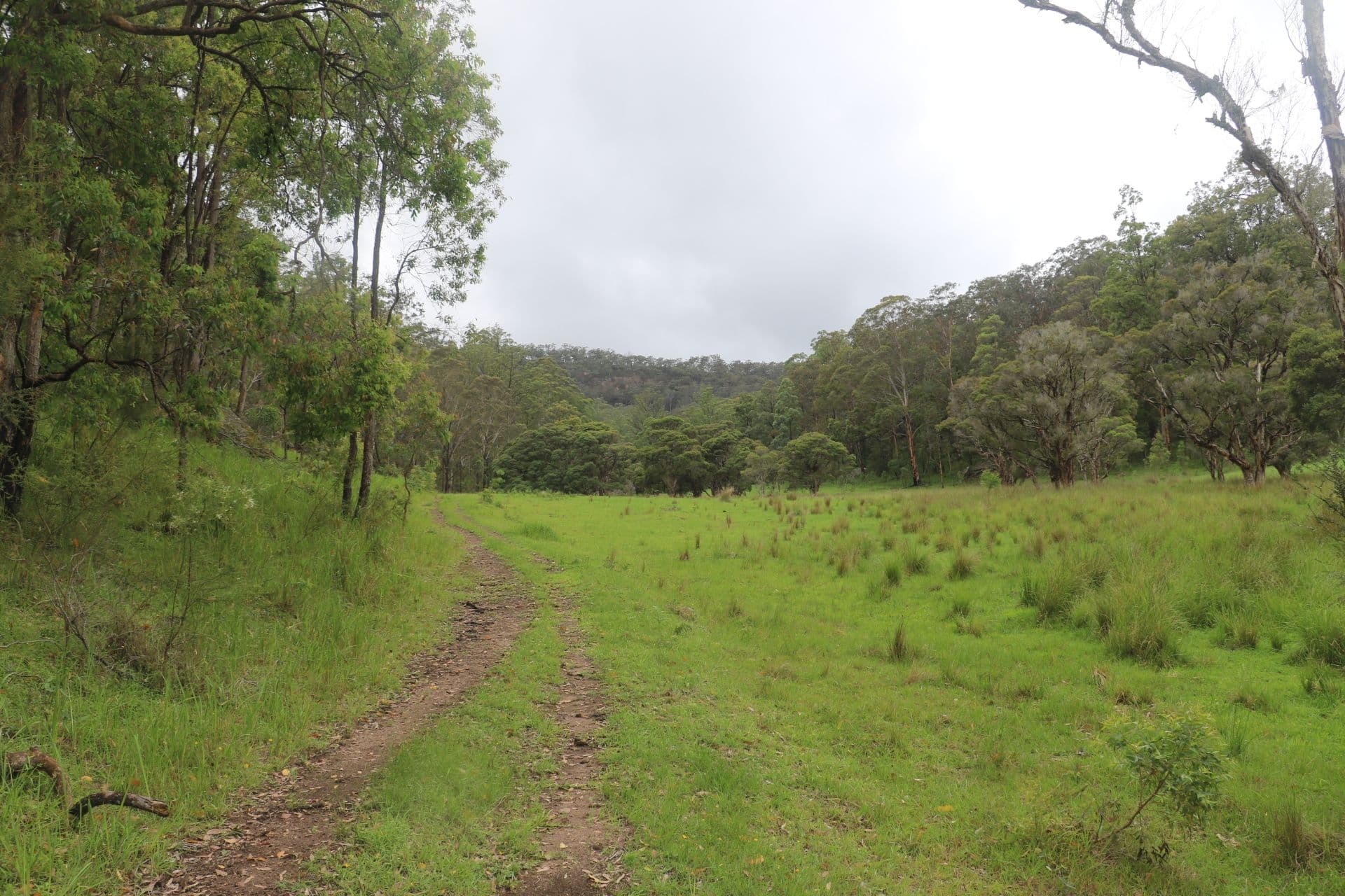 1341A Putty Valley Road, Putty NSW 2330, Putty - Image 1
