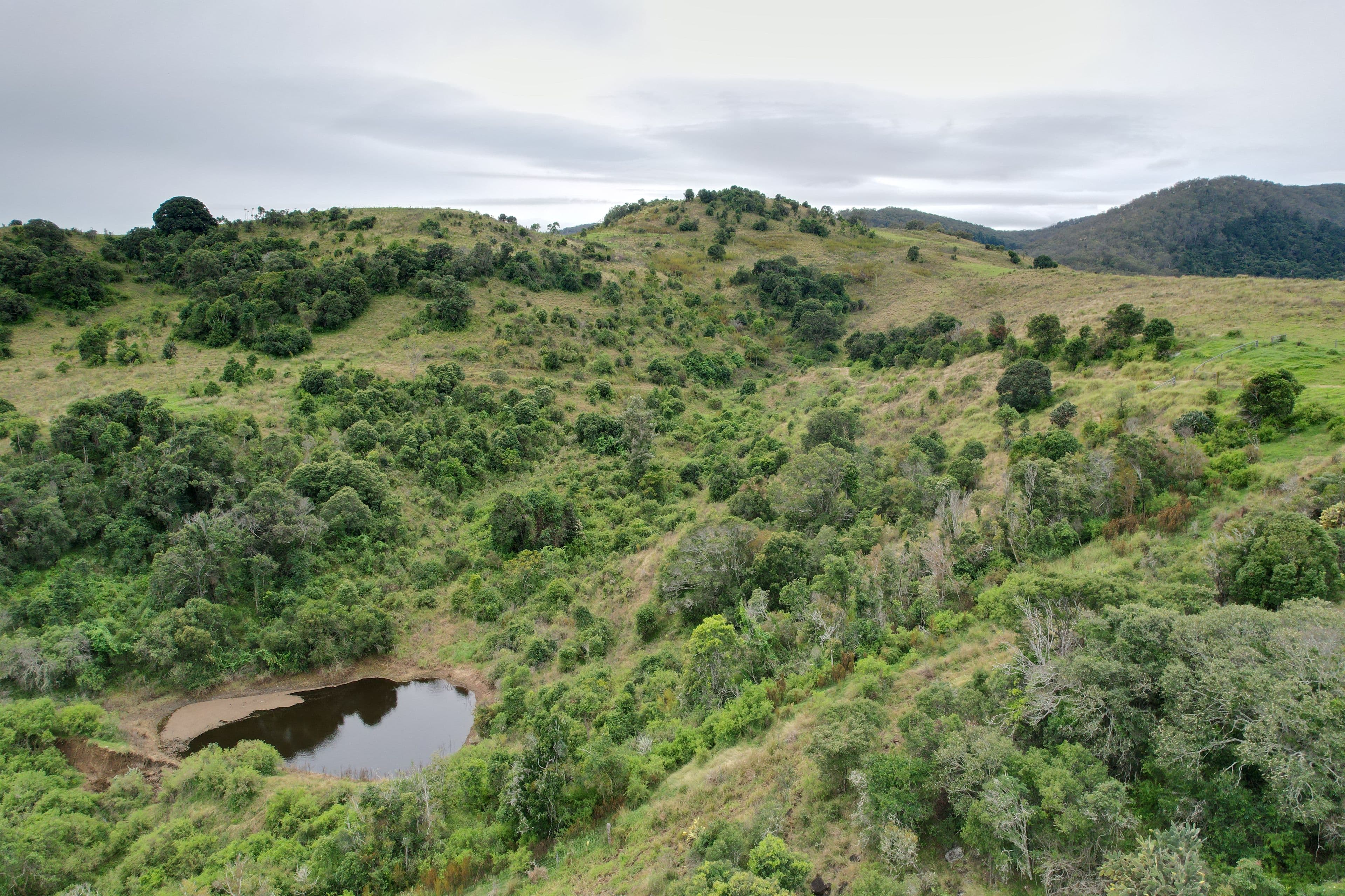 0 Caunter Road, Tannymorel QLD 4372, Tannymorel - Image 1