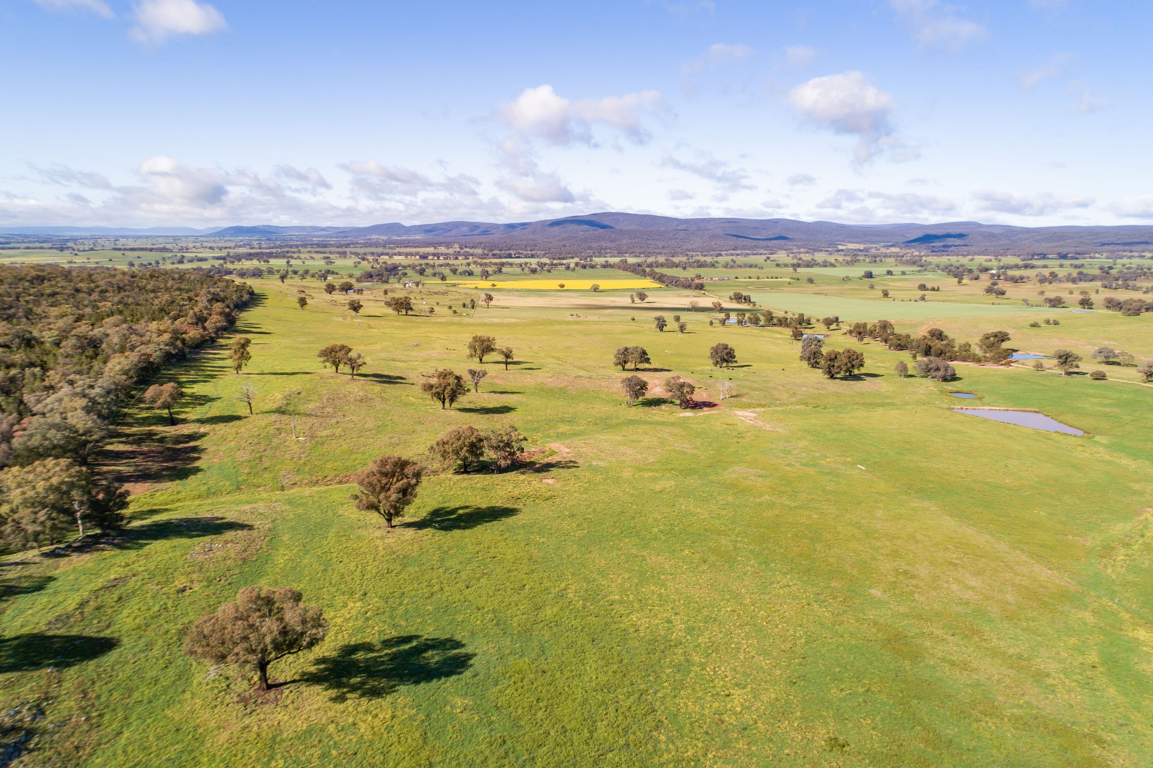 Jayton North' Fragar Road, COWRA NSW 2794, Cowra - Image 1