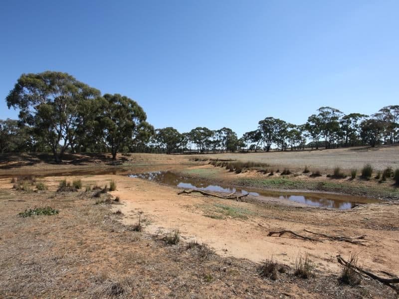 569 Wychitella Road, Wedderburn VIC 3518, Wedderburn - Image 1